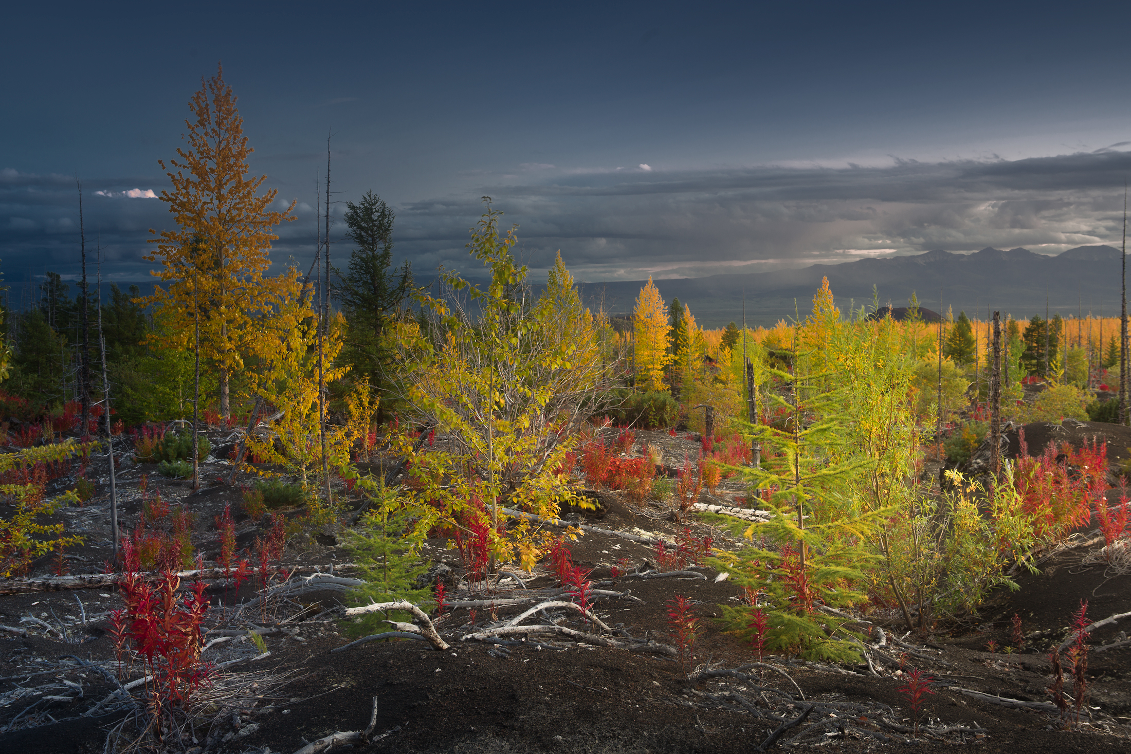 Autumn in Kamchatka