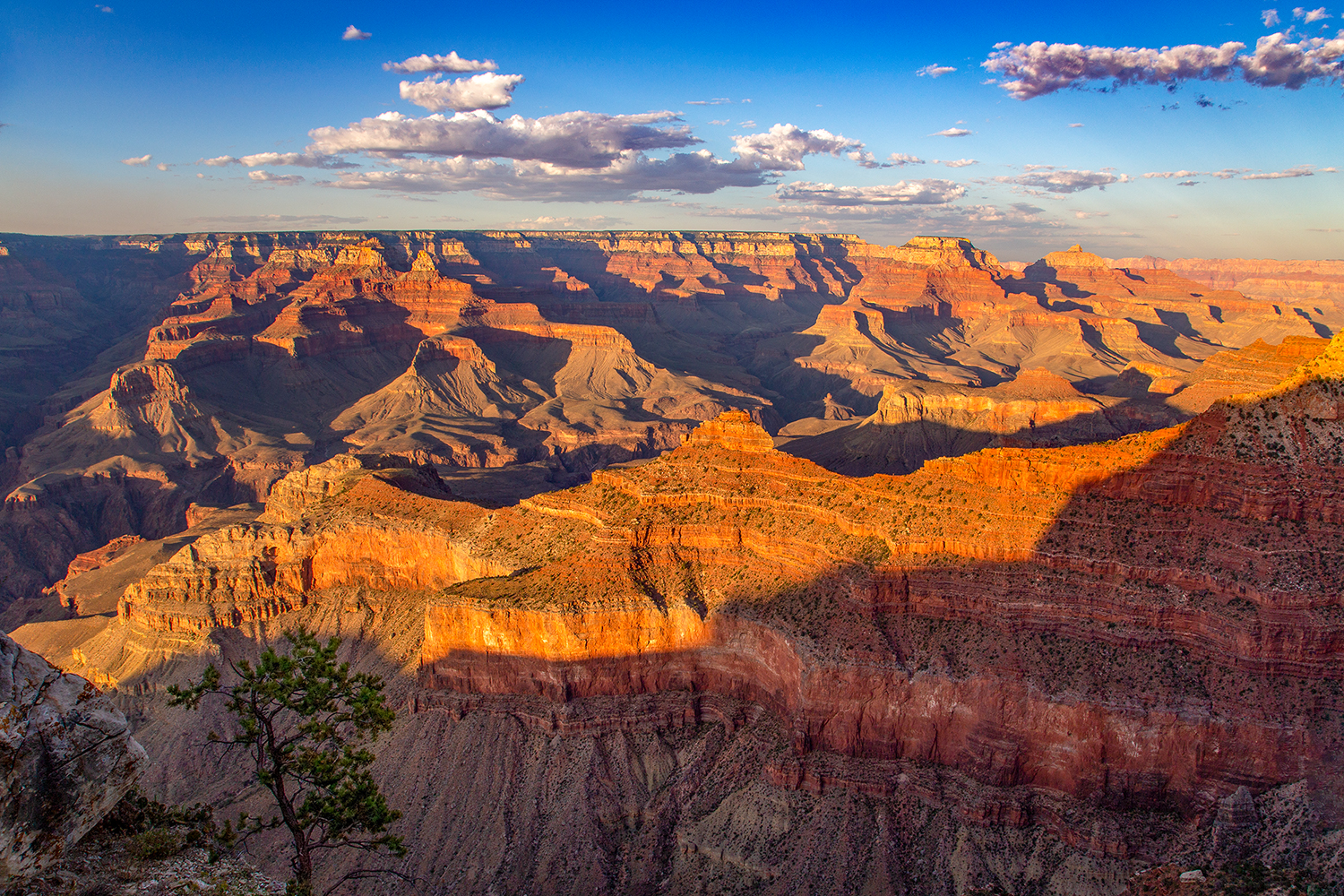 Classico Grand Canyon