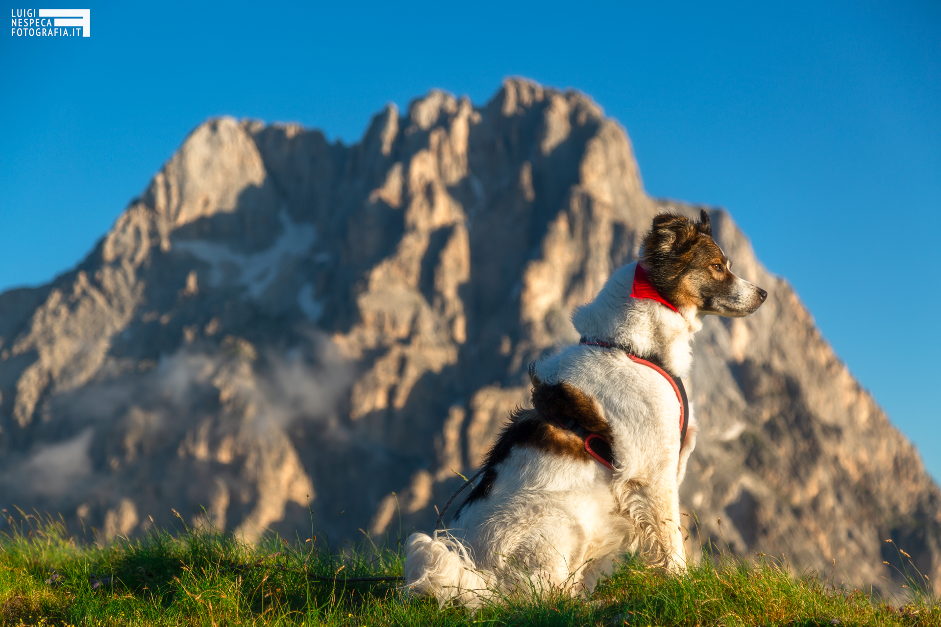 melody e l'alba sul corno grande - gran sasso