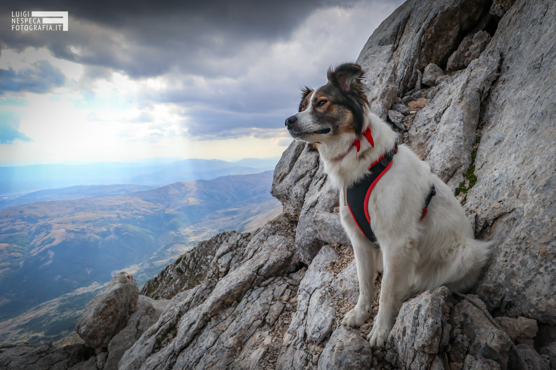 Melody verso il Pizzo Cefalone al Gran Sasso