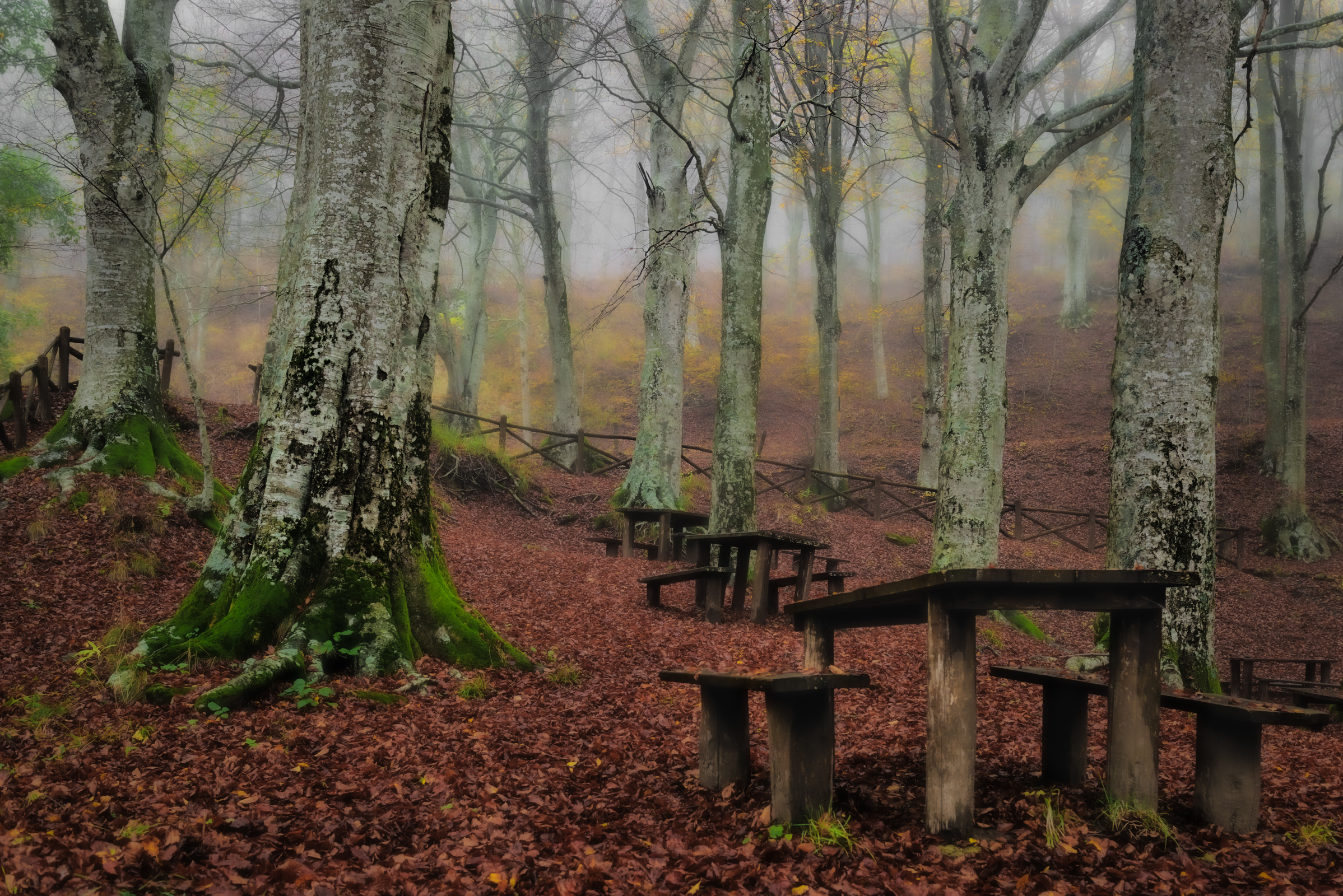 I colori dell'autunno