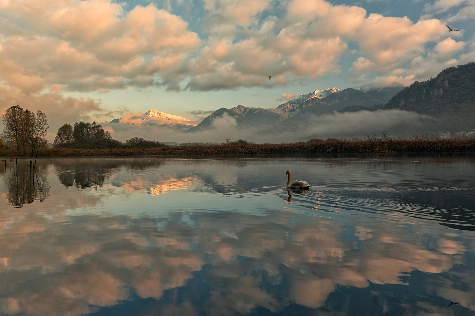 Nuotare tra le nuvole