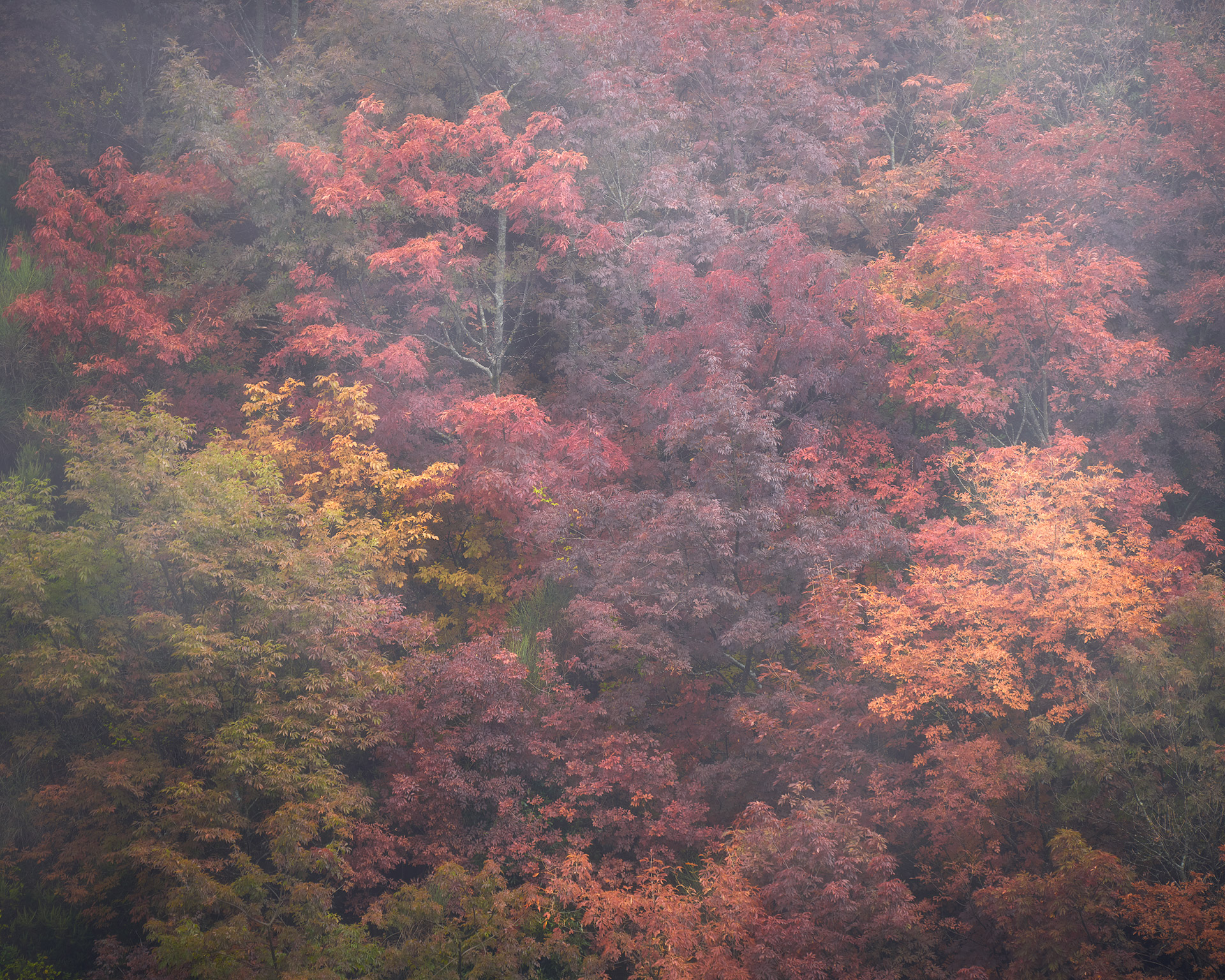 Discesa verso l'inferno