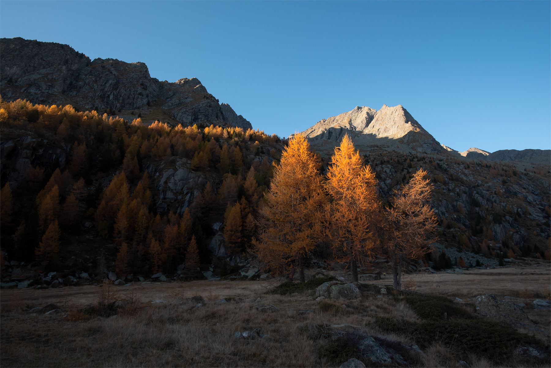 Predarossa at sunset