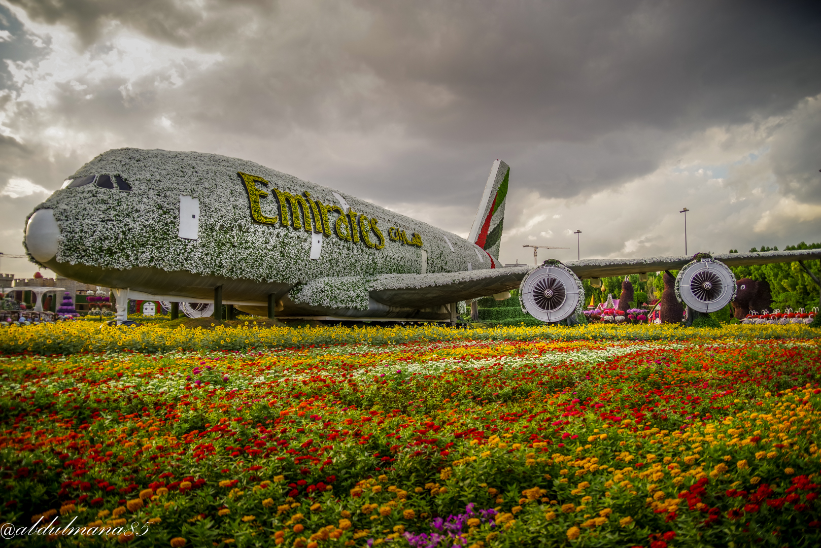 Aereo coperto da Fiori