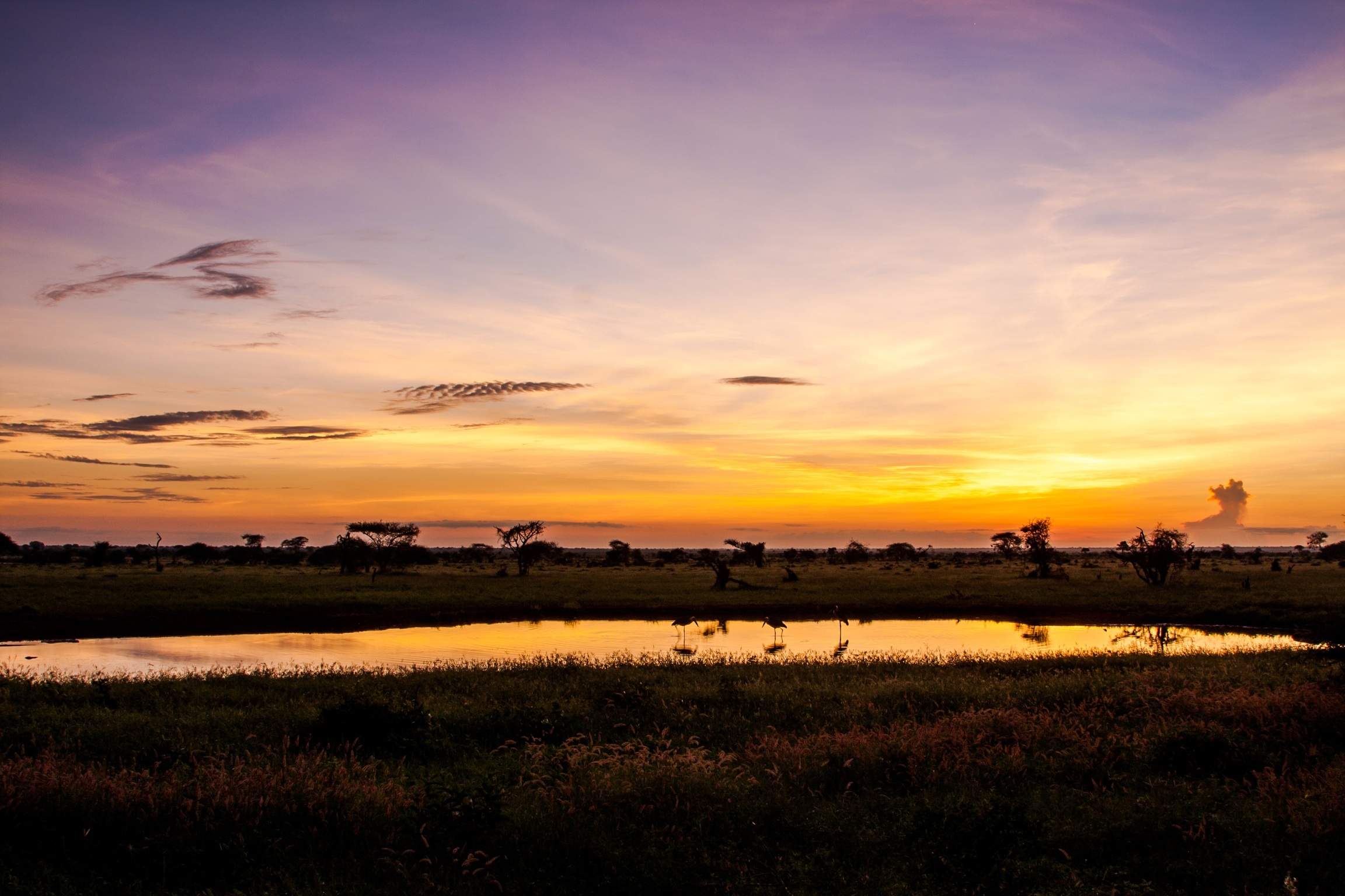Kenya | Sunrise to Ngutuni Lodge