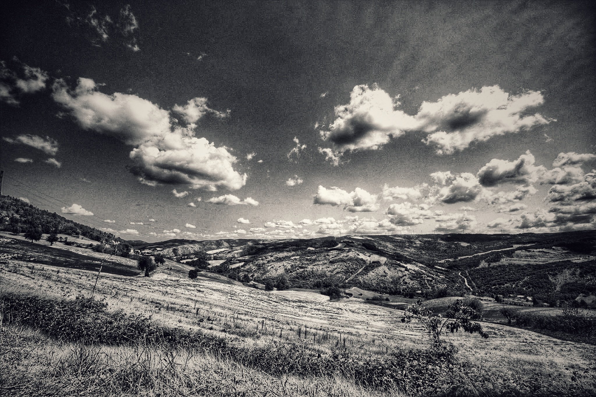 Untitled Photo