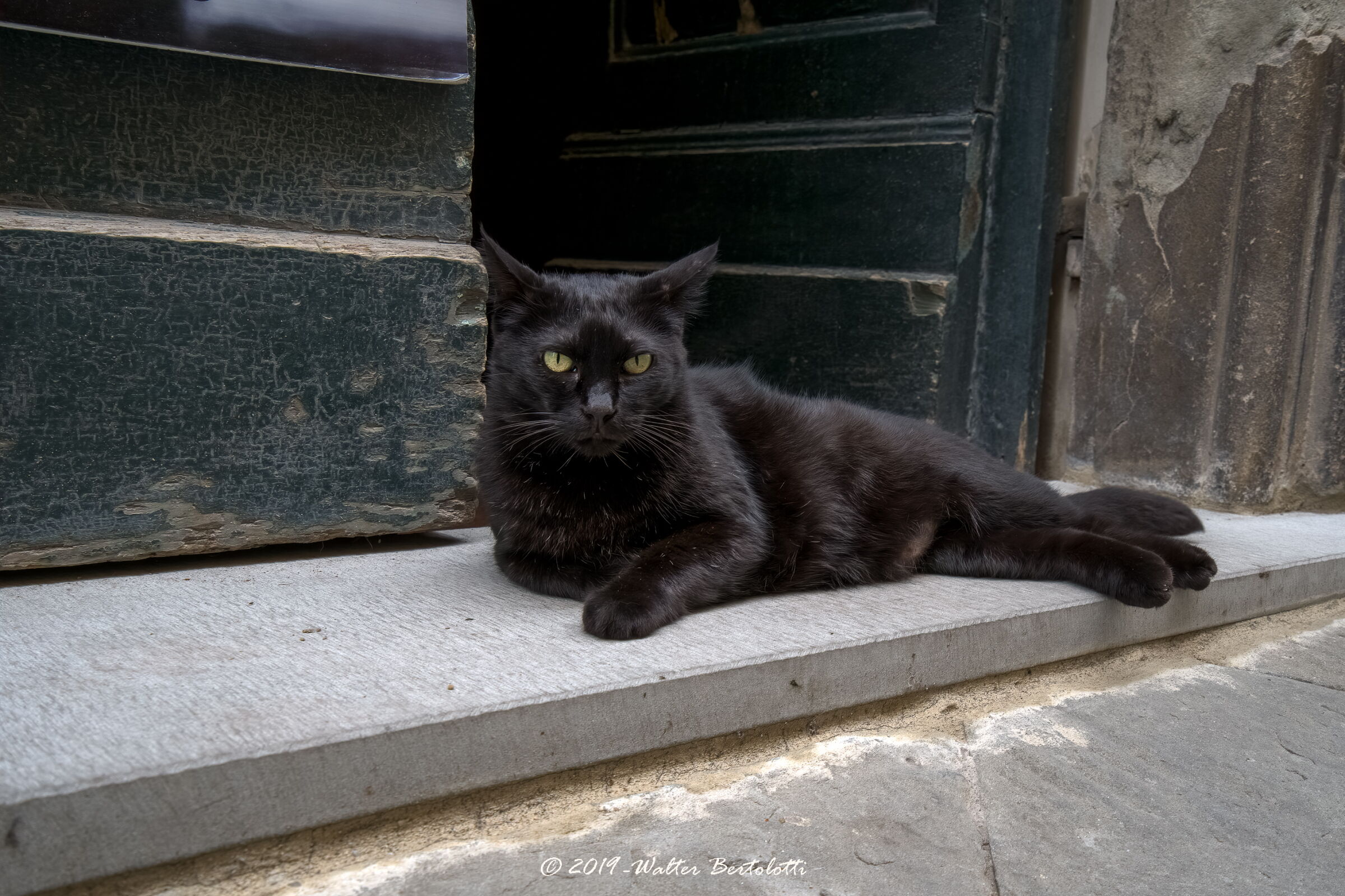 ma che pensi d'entrare?