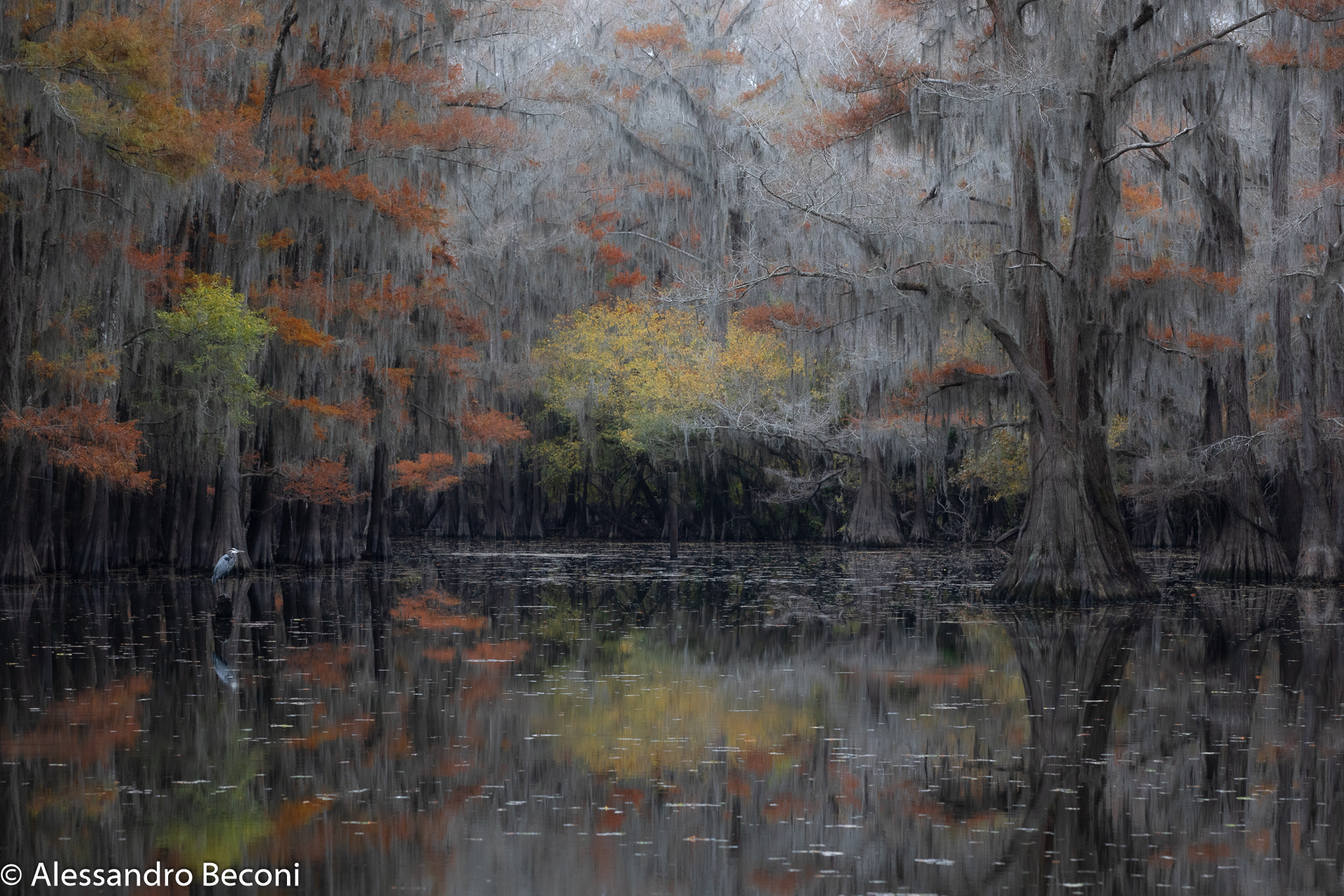 Dentro ad un quadro impressionista