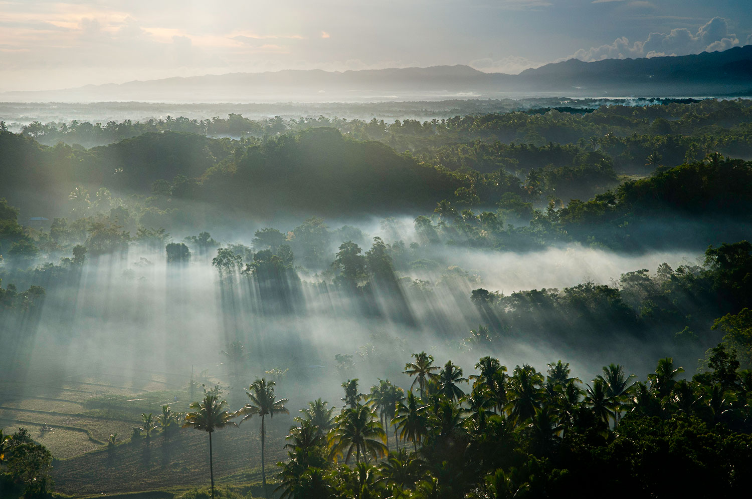 Alba alle Chocolate Hills