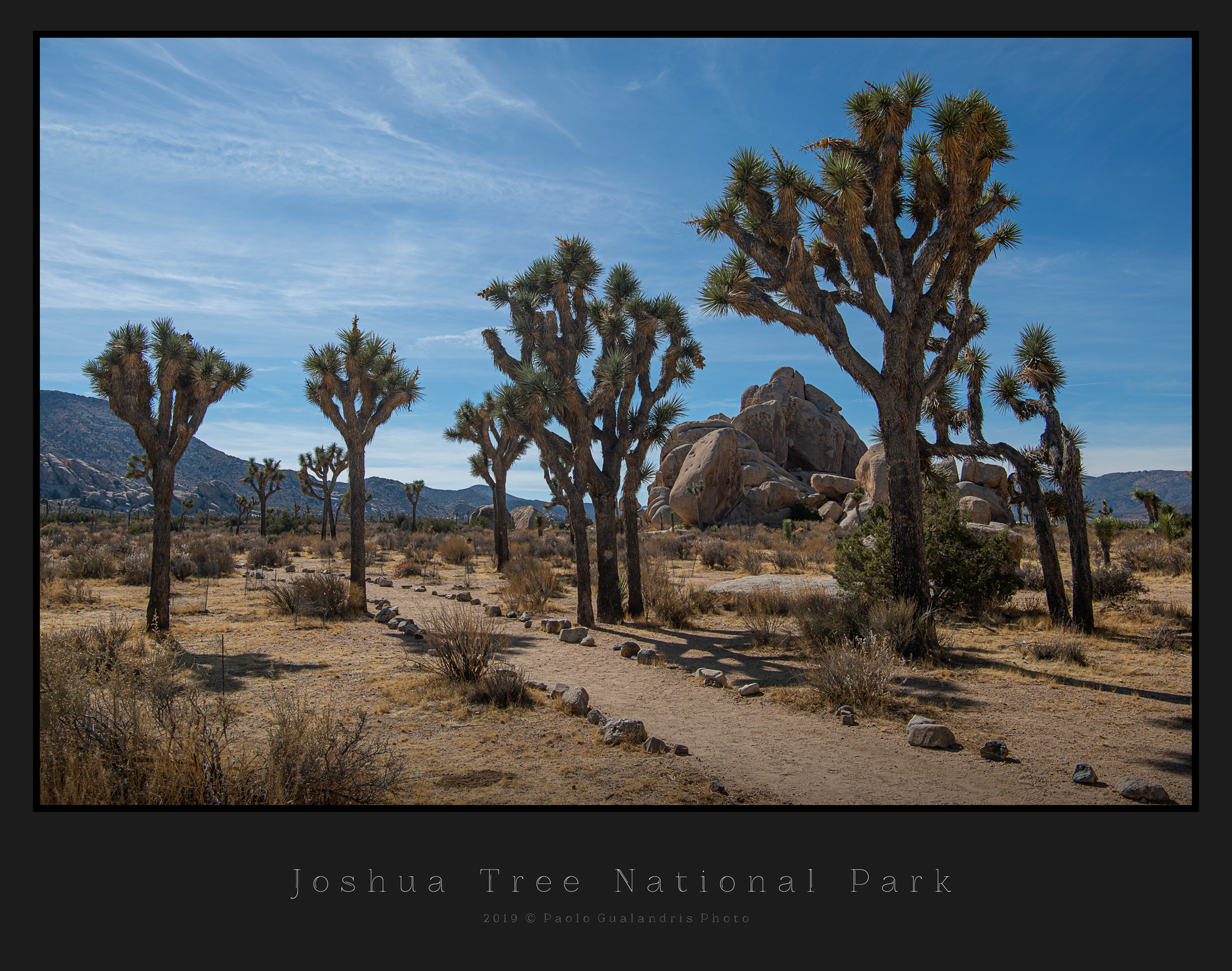 Joshua Tree National Park