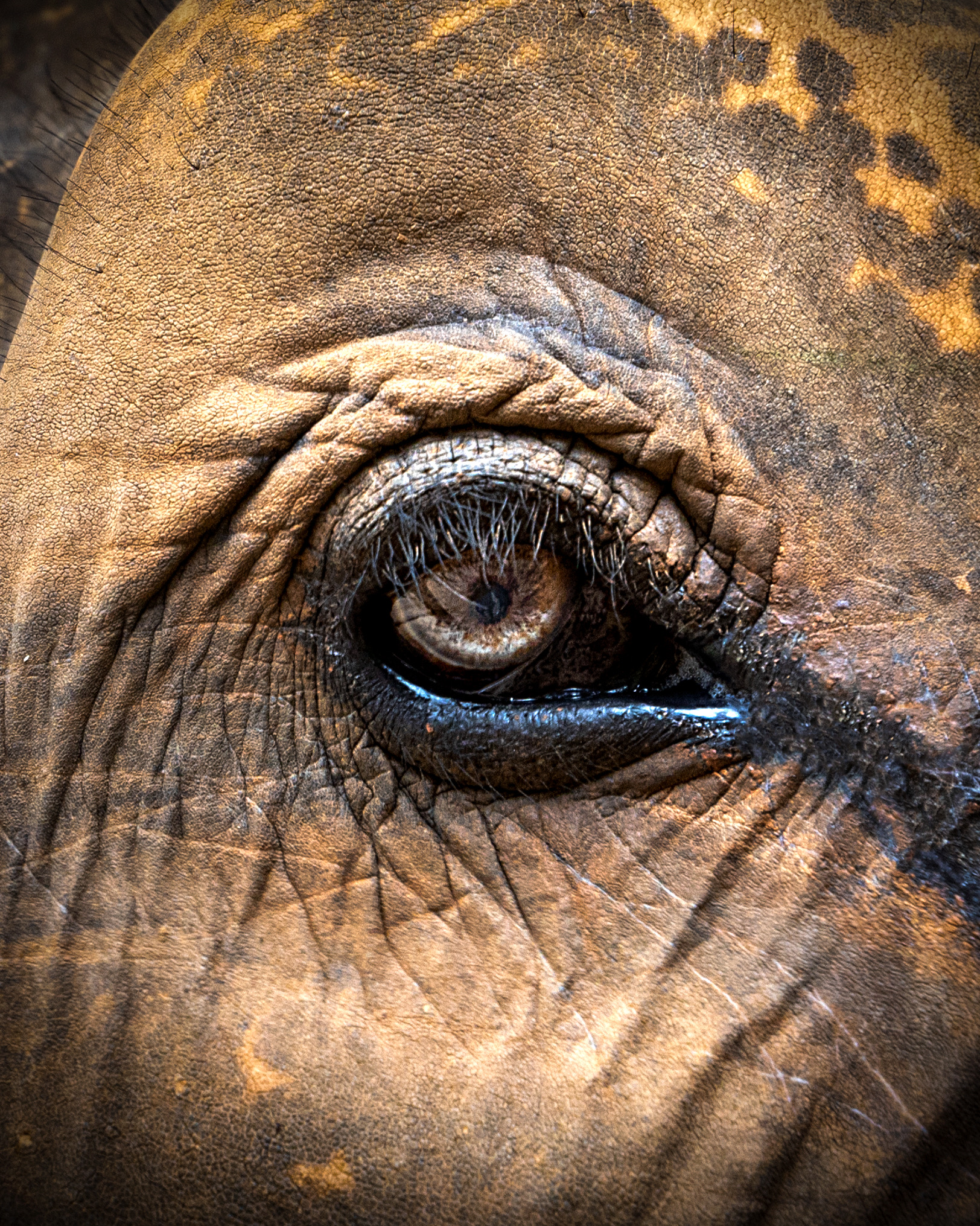 The look of experience