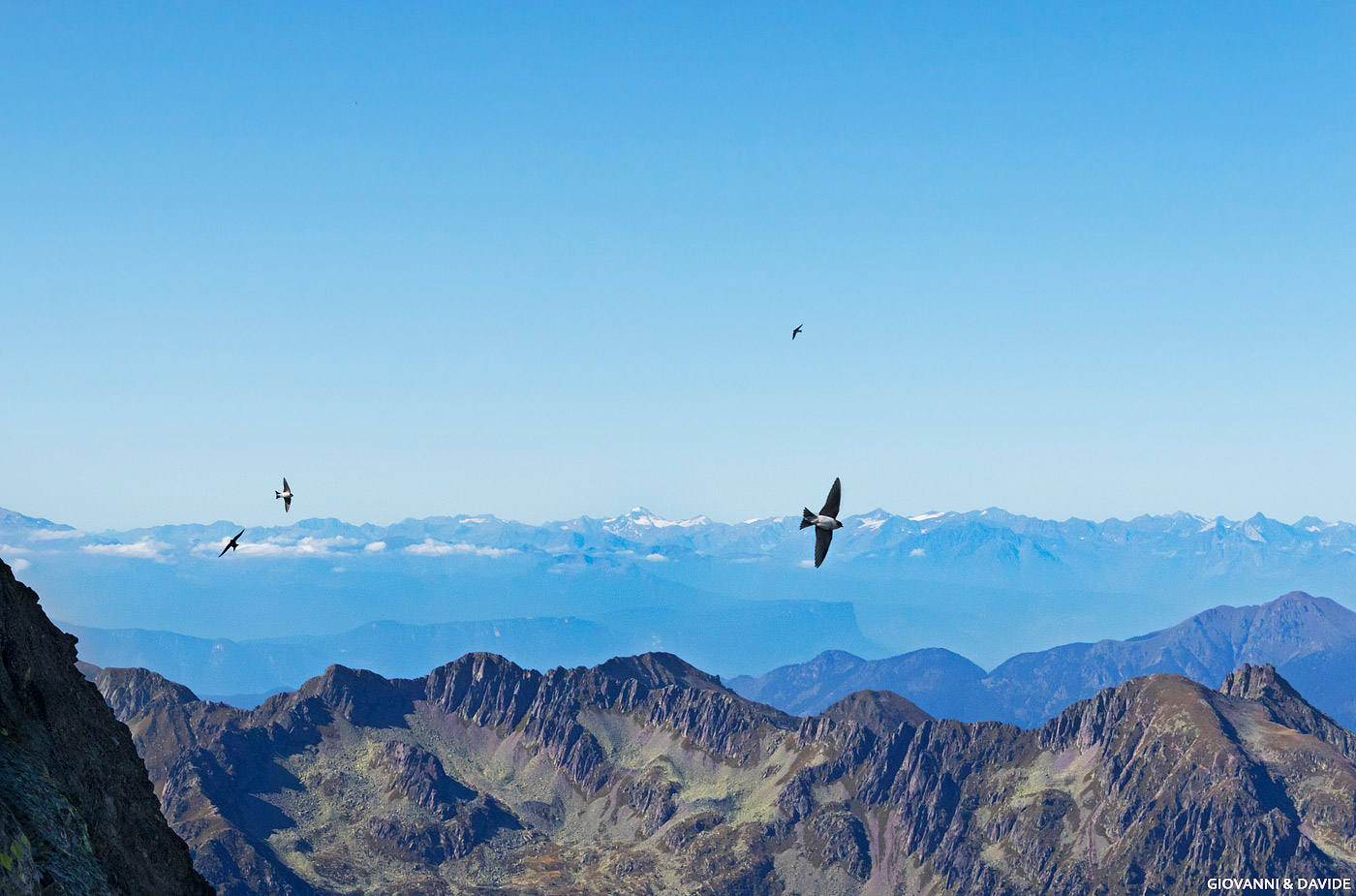 ... The blue and the infinite...