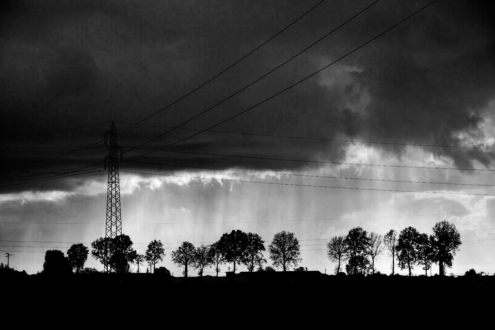 Untitled Photo
