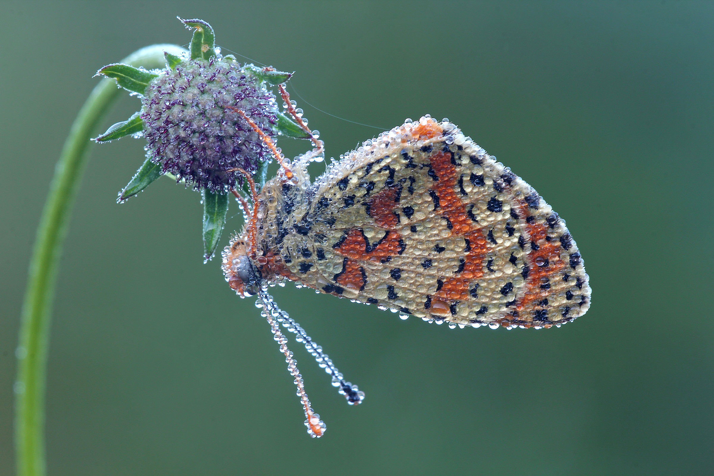 Aspettando Il Sole !