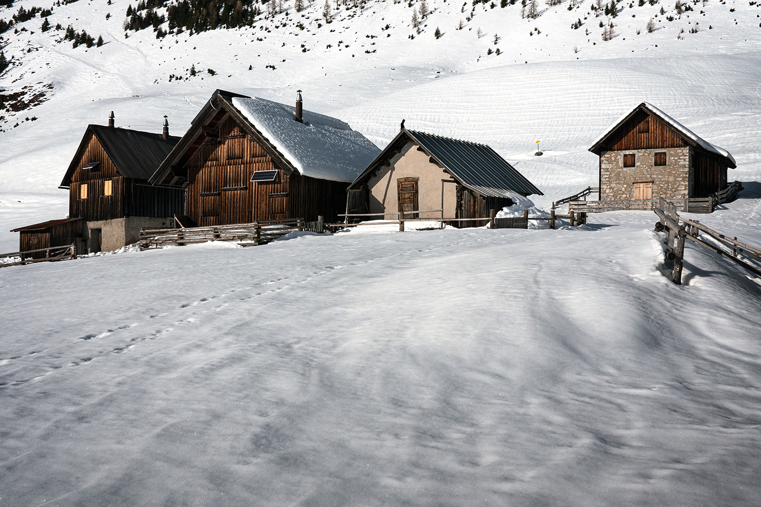 Bistrizza Alm - Alpi Carniche - Italy