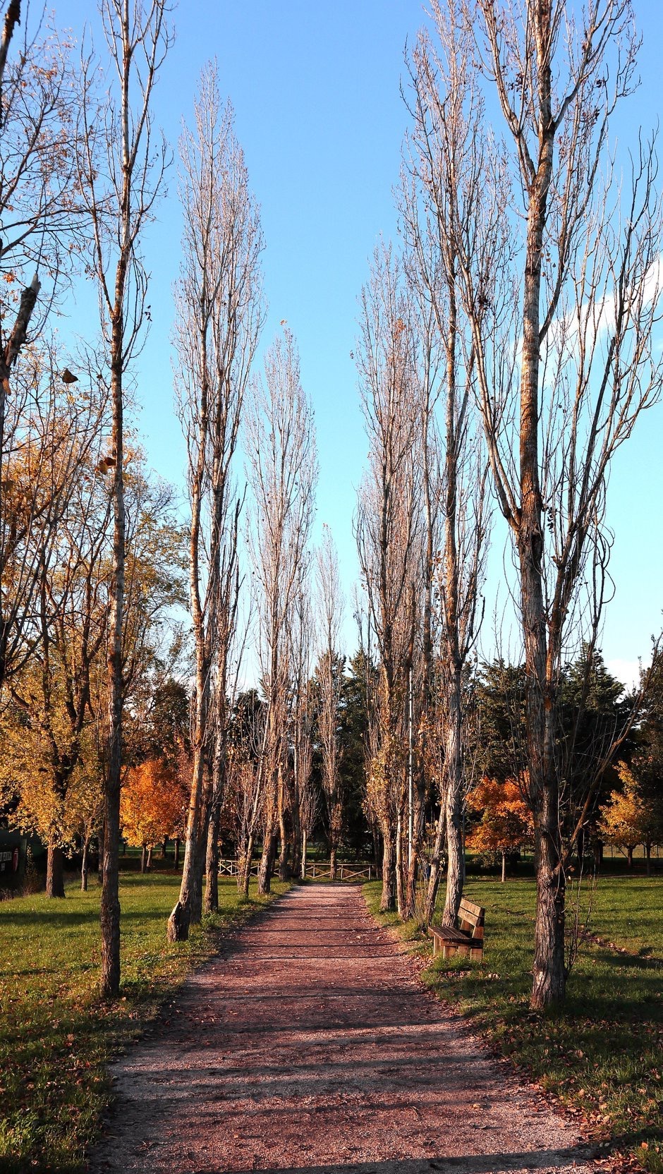 Umbrian Autumn Landscapes
