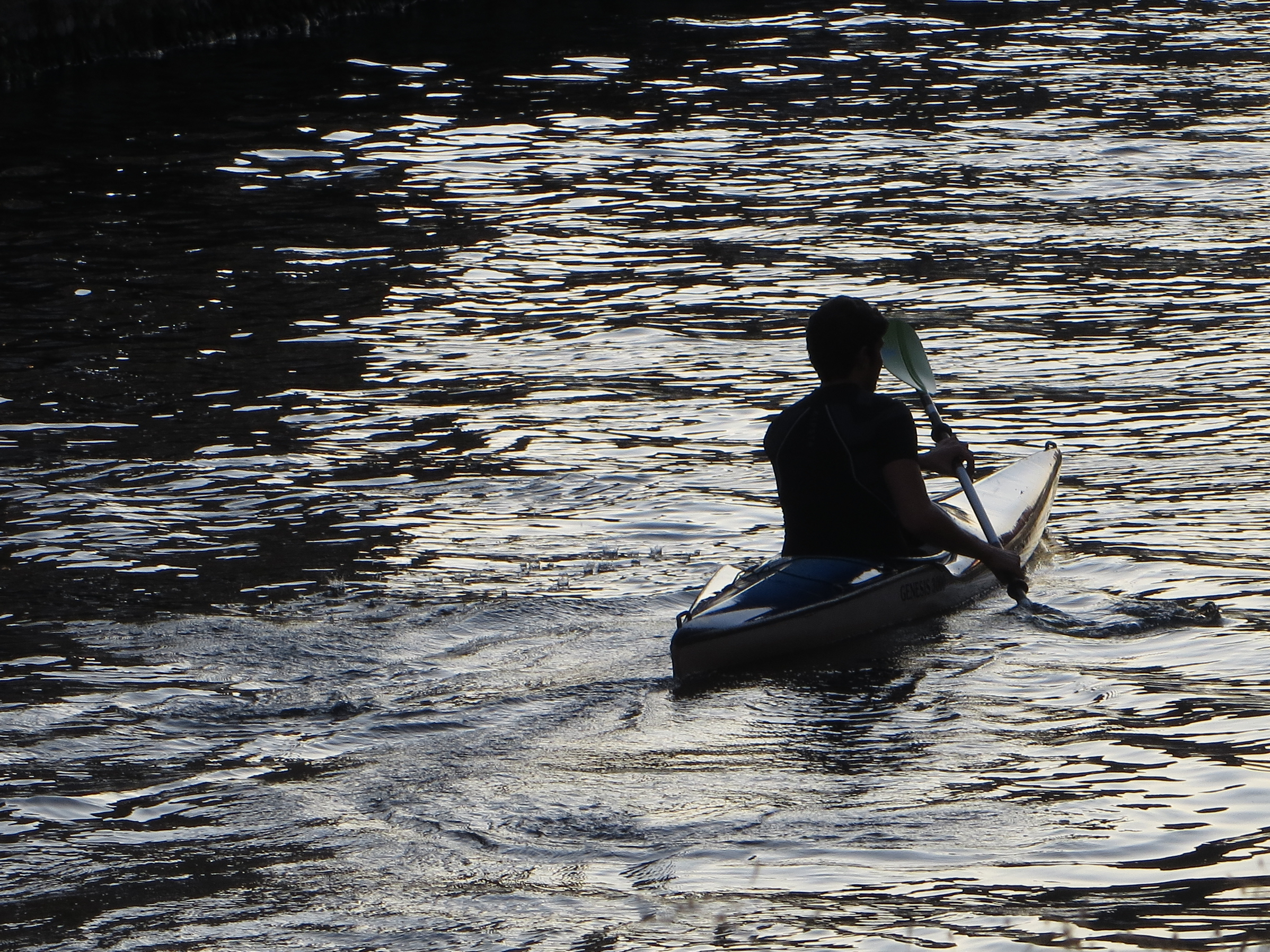 Canoe on the Great Ship