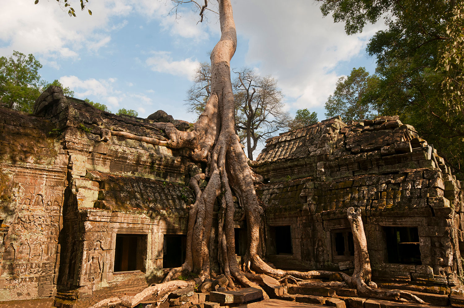 Ta Prohm ad Angkor