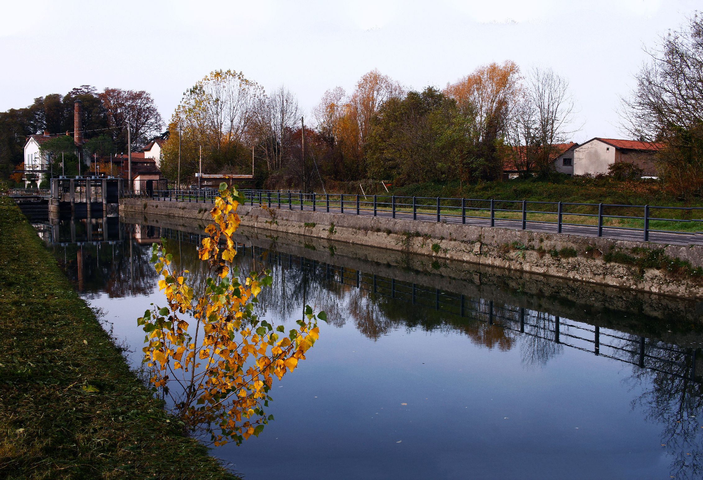 autunno sul Martesana ricordando Leonardo