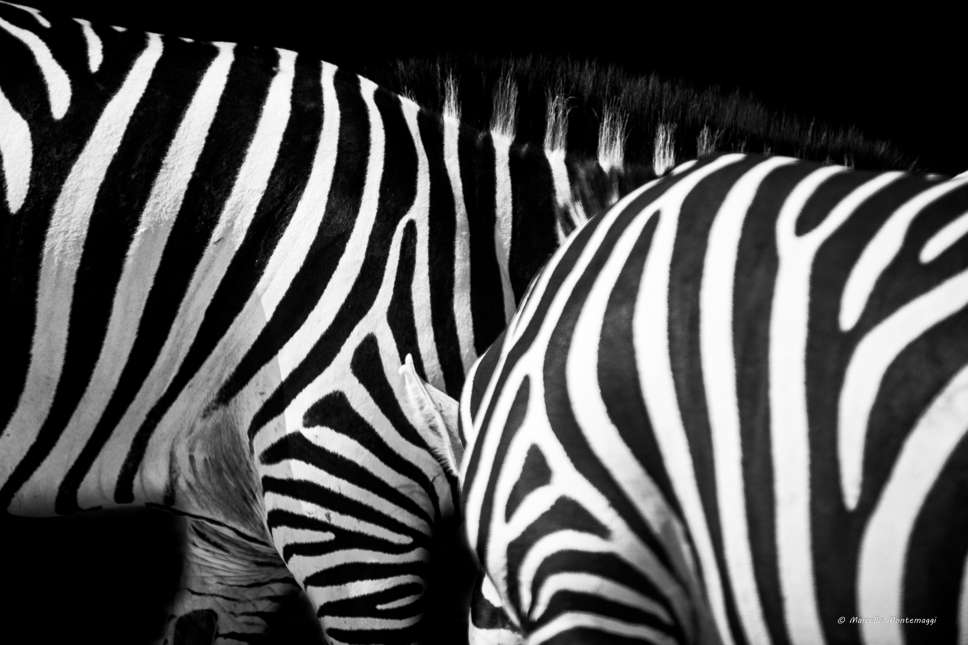 black and white
