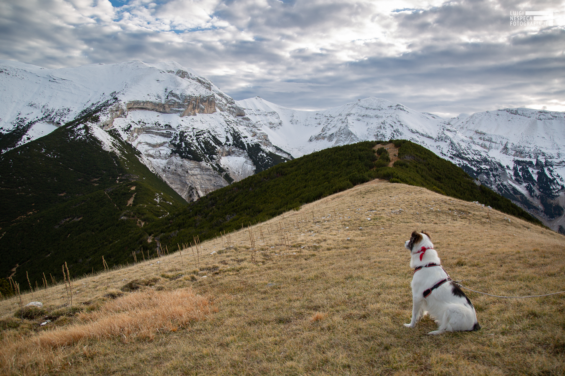 Melody ed il Monte Focalone - Majella Orientale