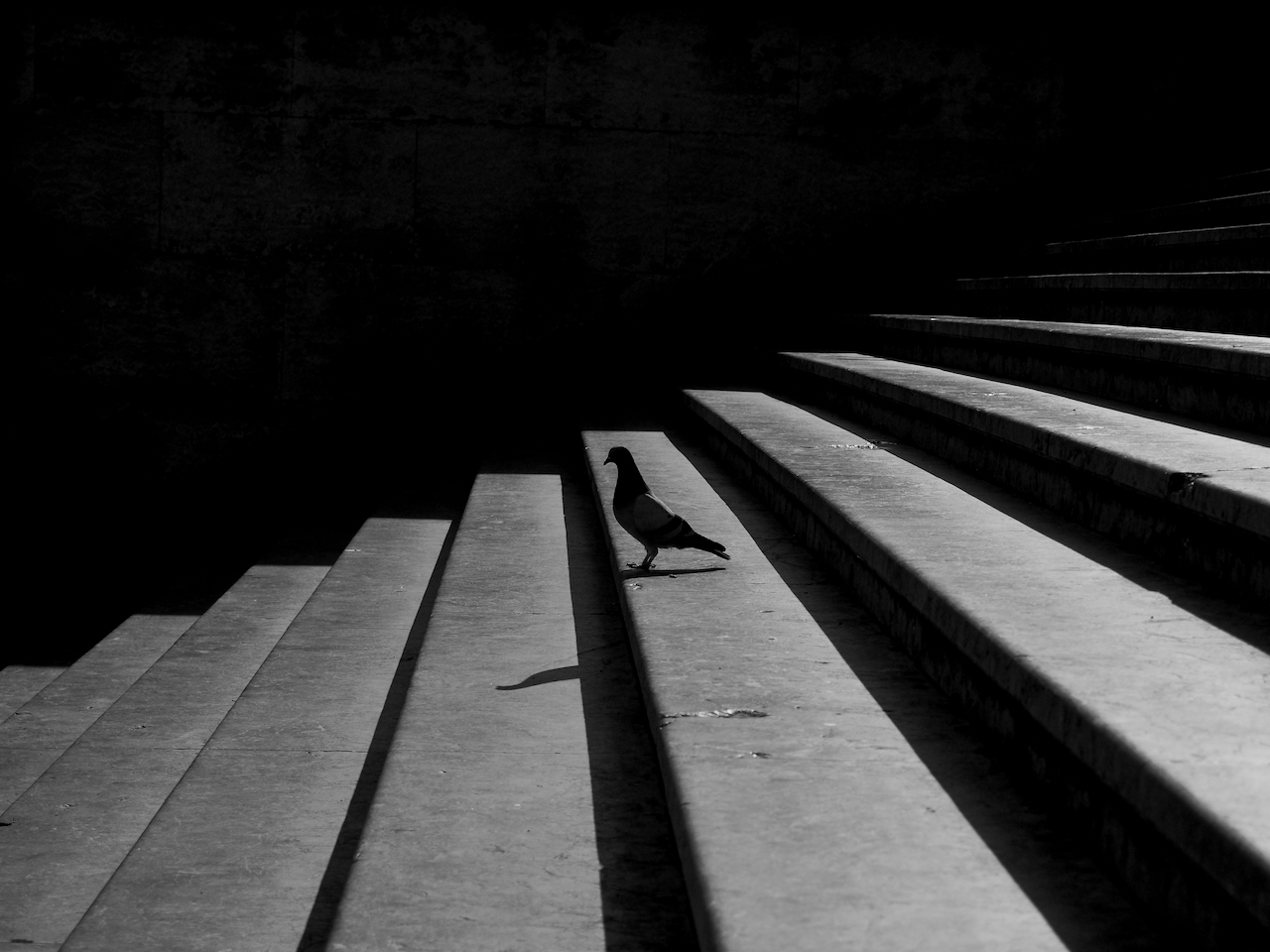 Pausa di riflessione