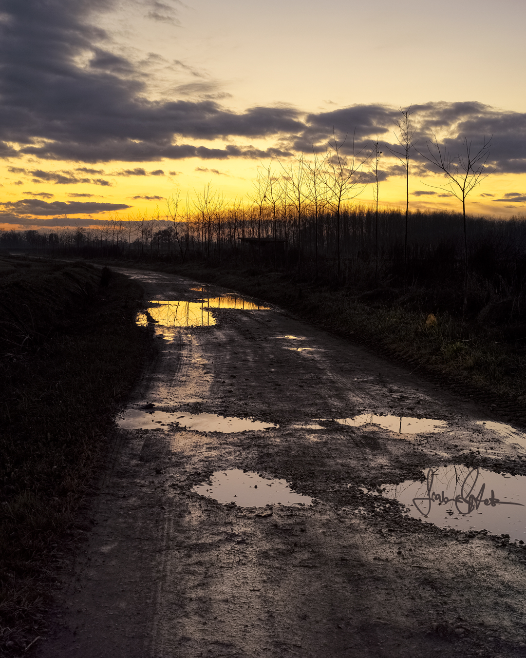 Tramonto in lomellina