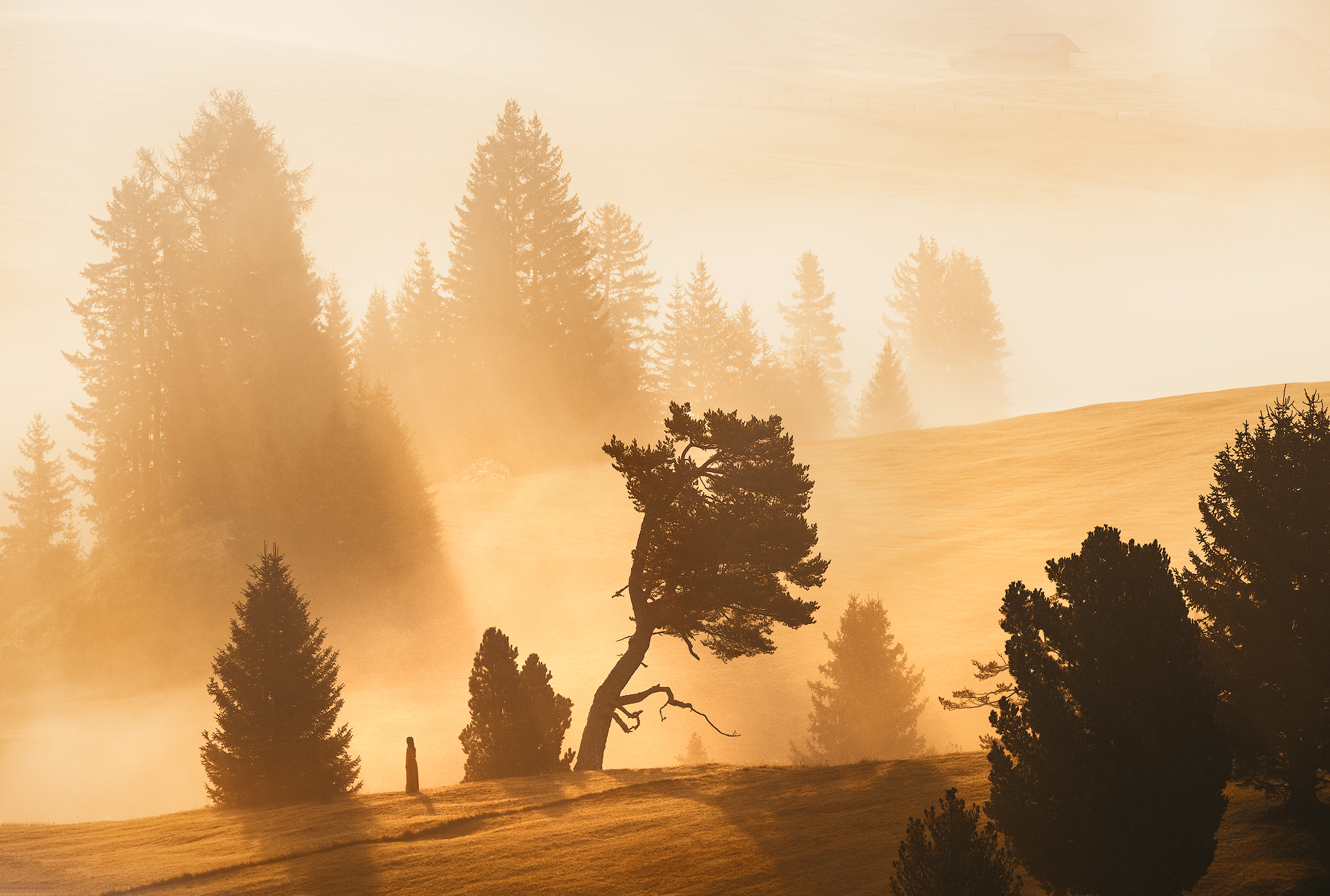 garden of eden - dolomites natural park