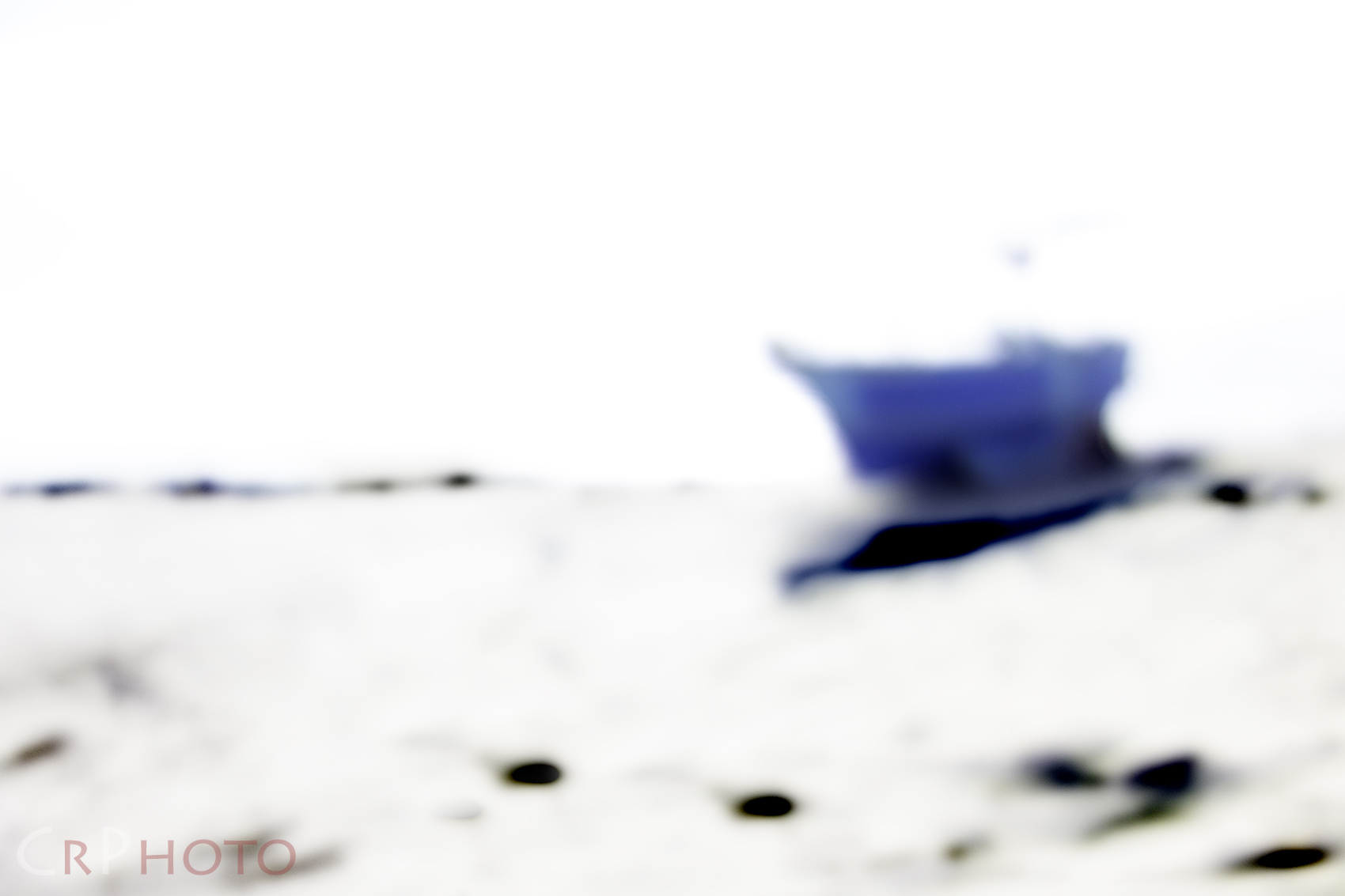 Gl'u returned' doo fisherman