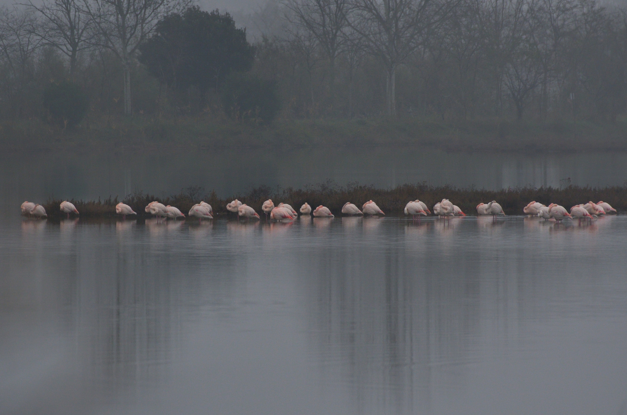 Laguna di Venezia...