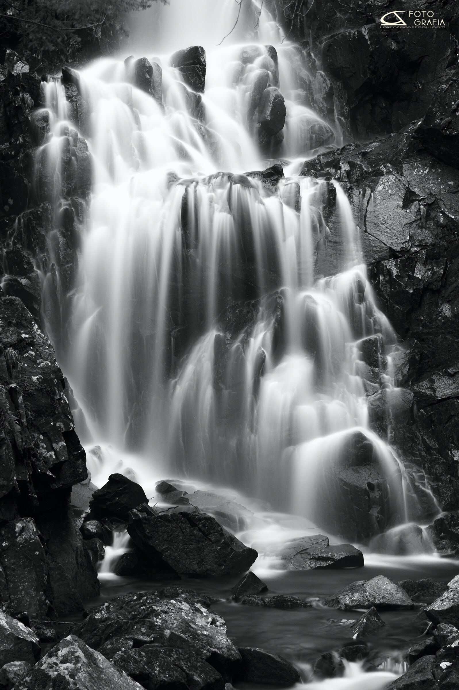 The Doccione (detail)