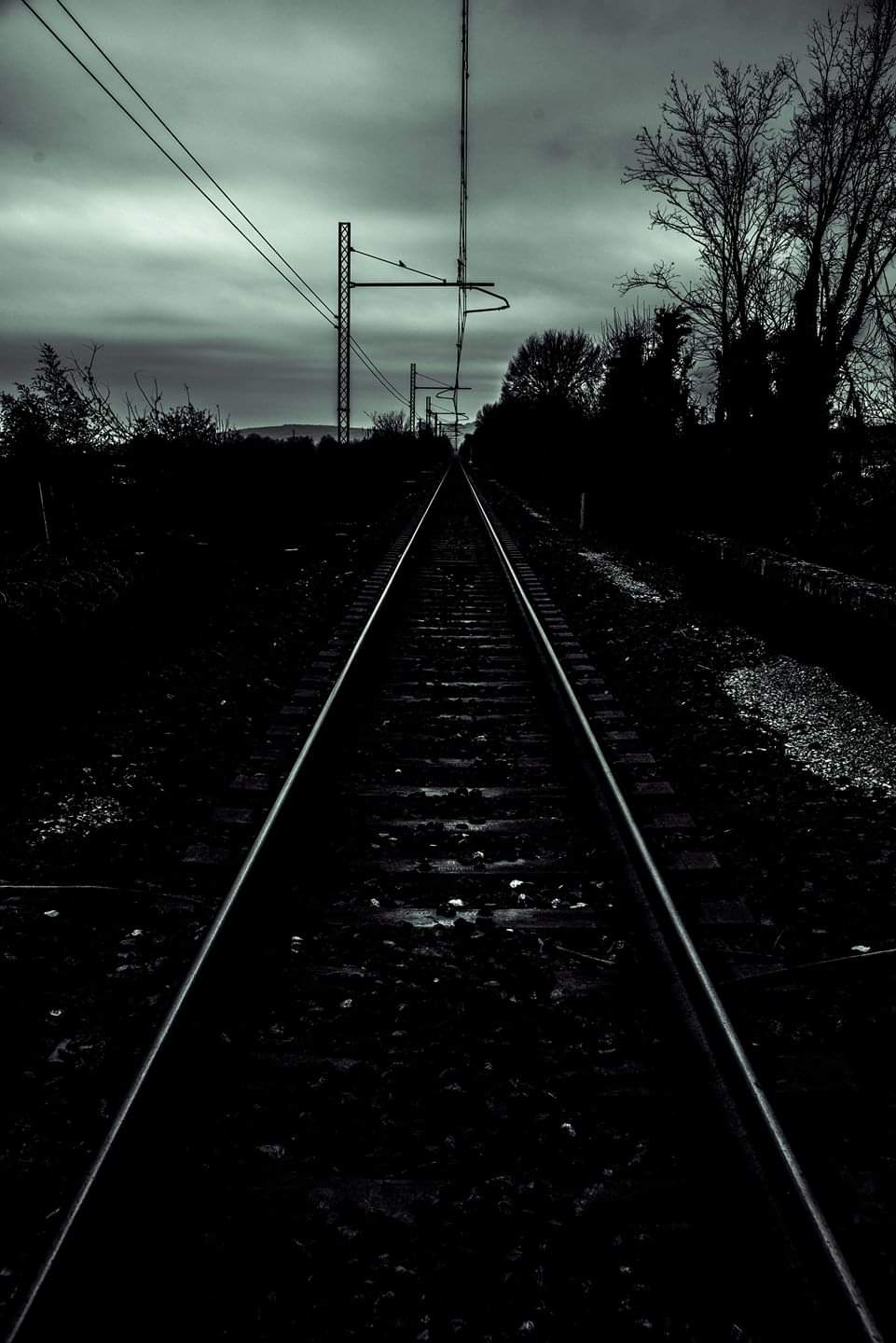 Dedicata al giorno della memoria