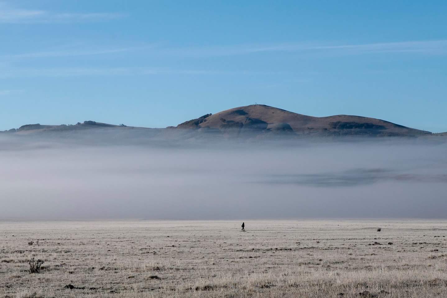 Immerso nell'immenso