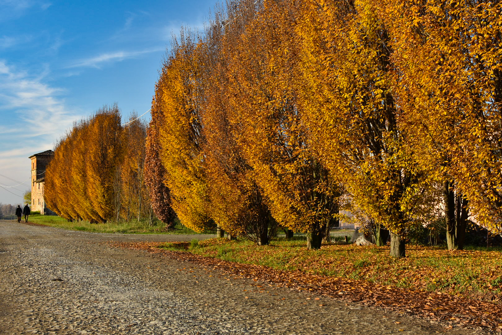 Autunno in val Tidone