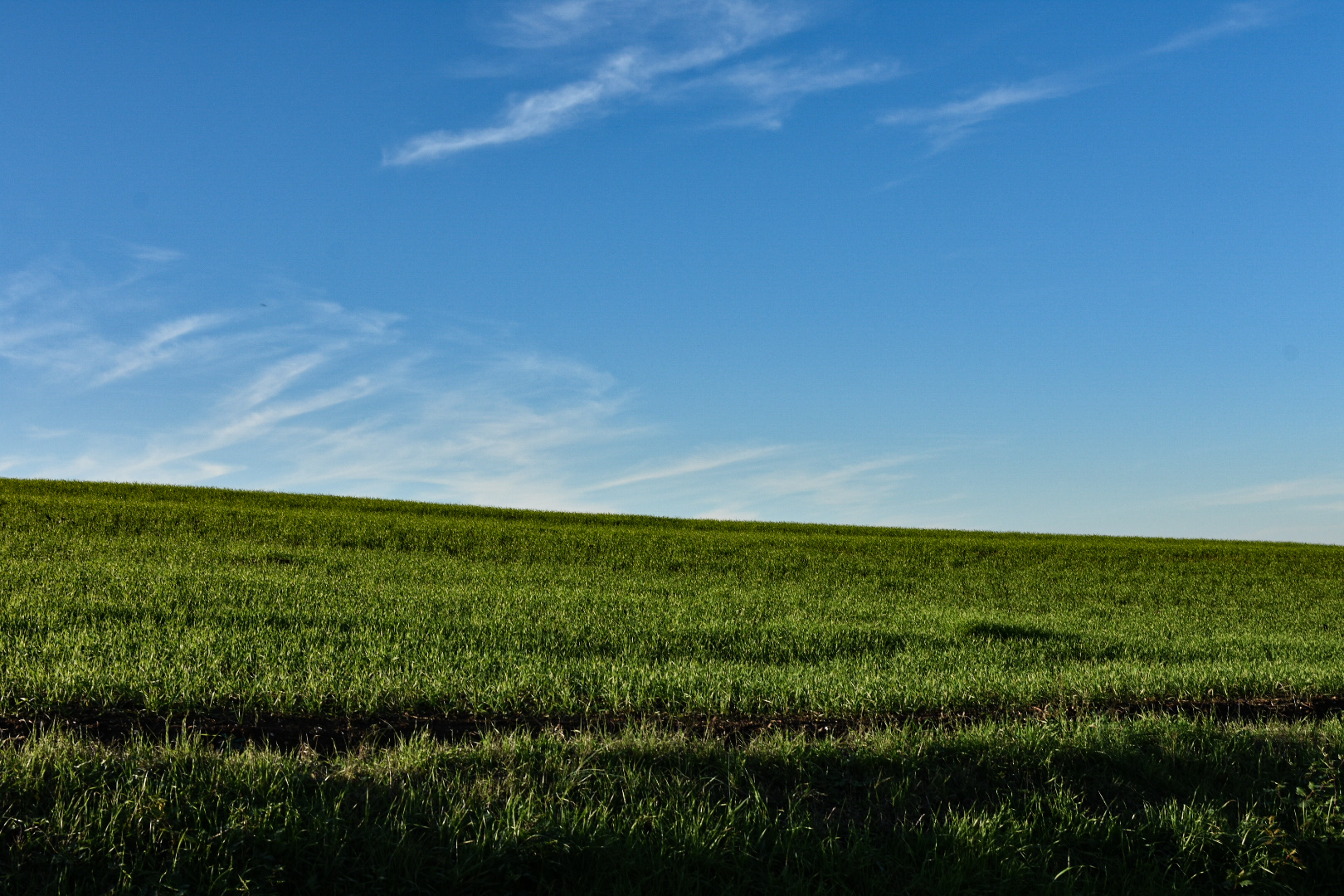 Insoliti colori autunnali