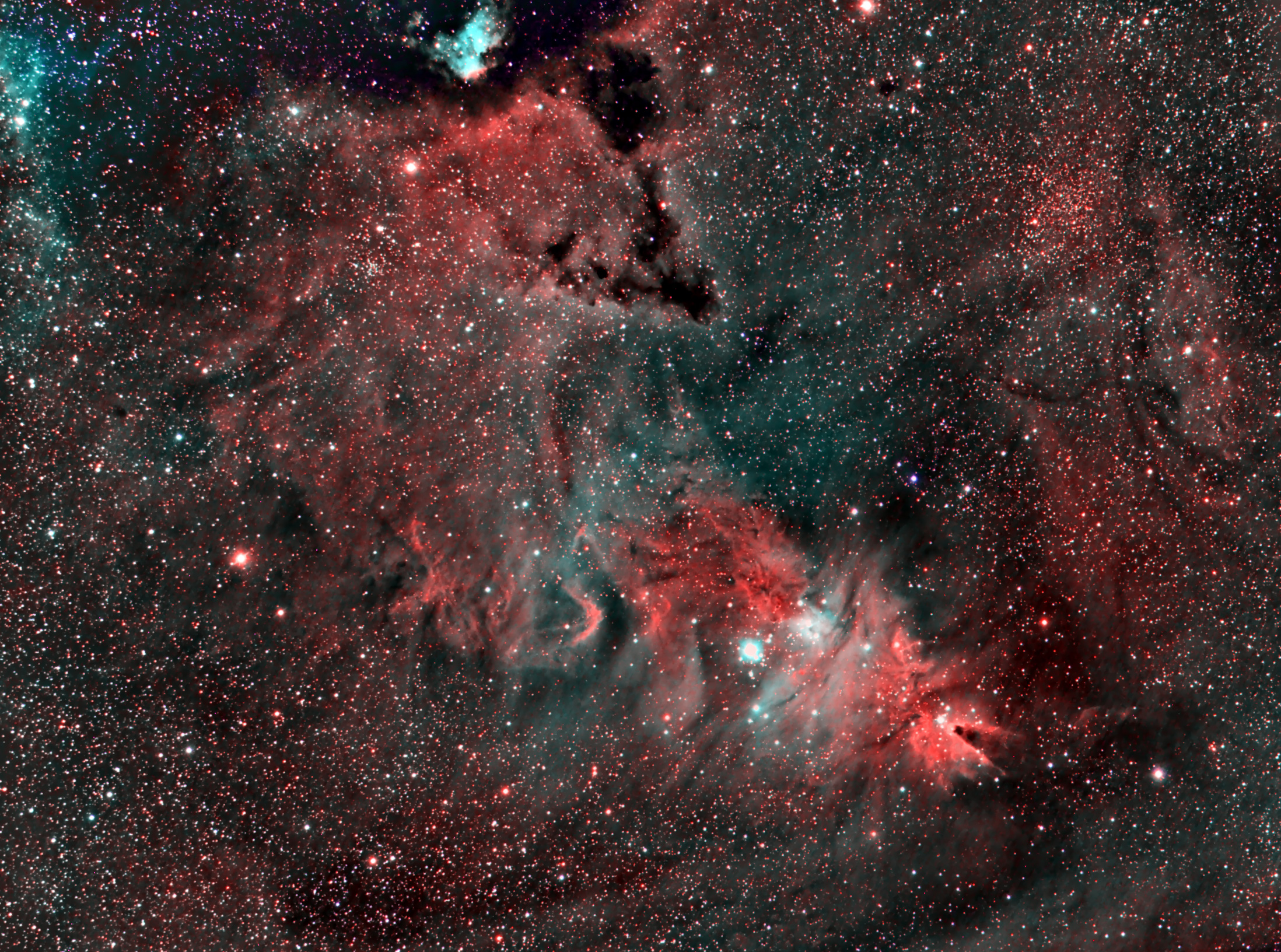 Cone nebula