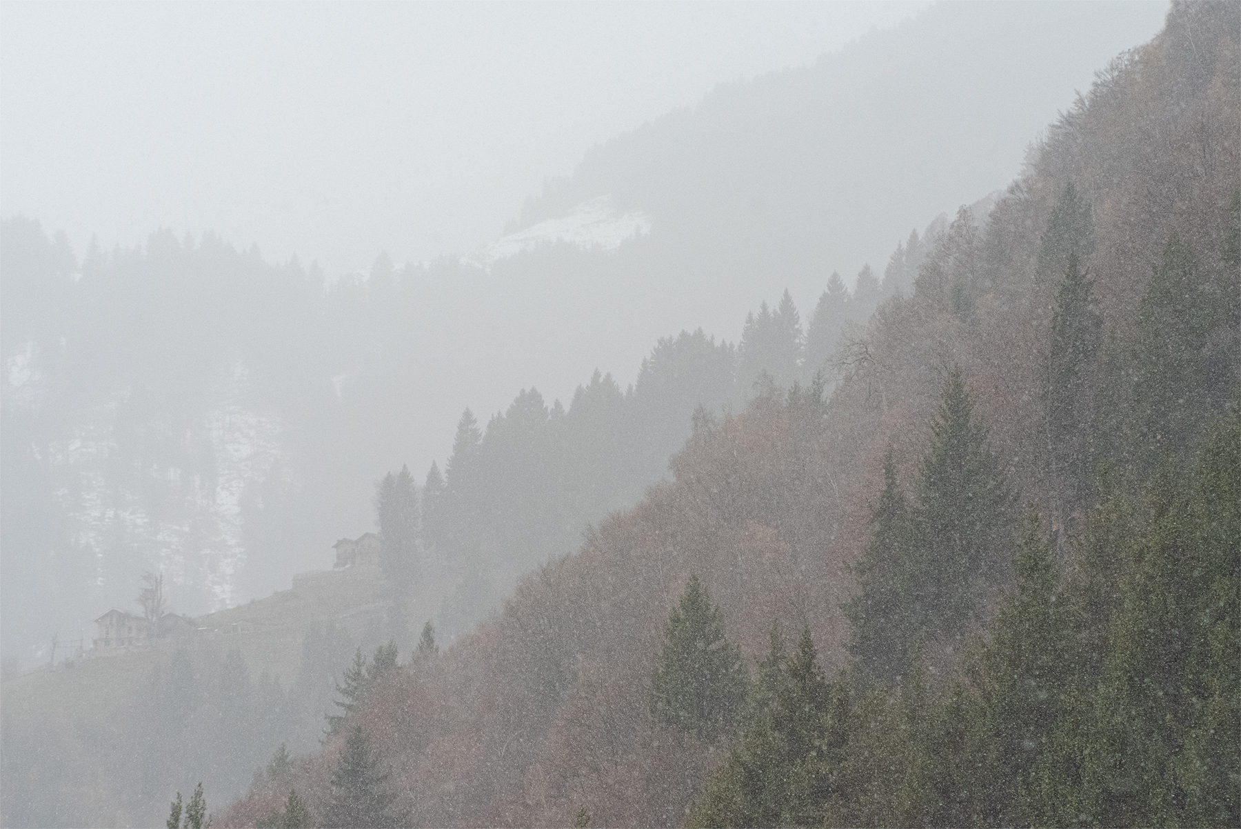 Welcome winter