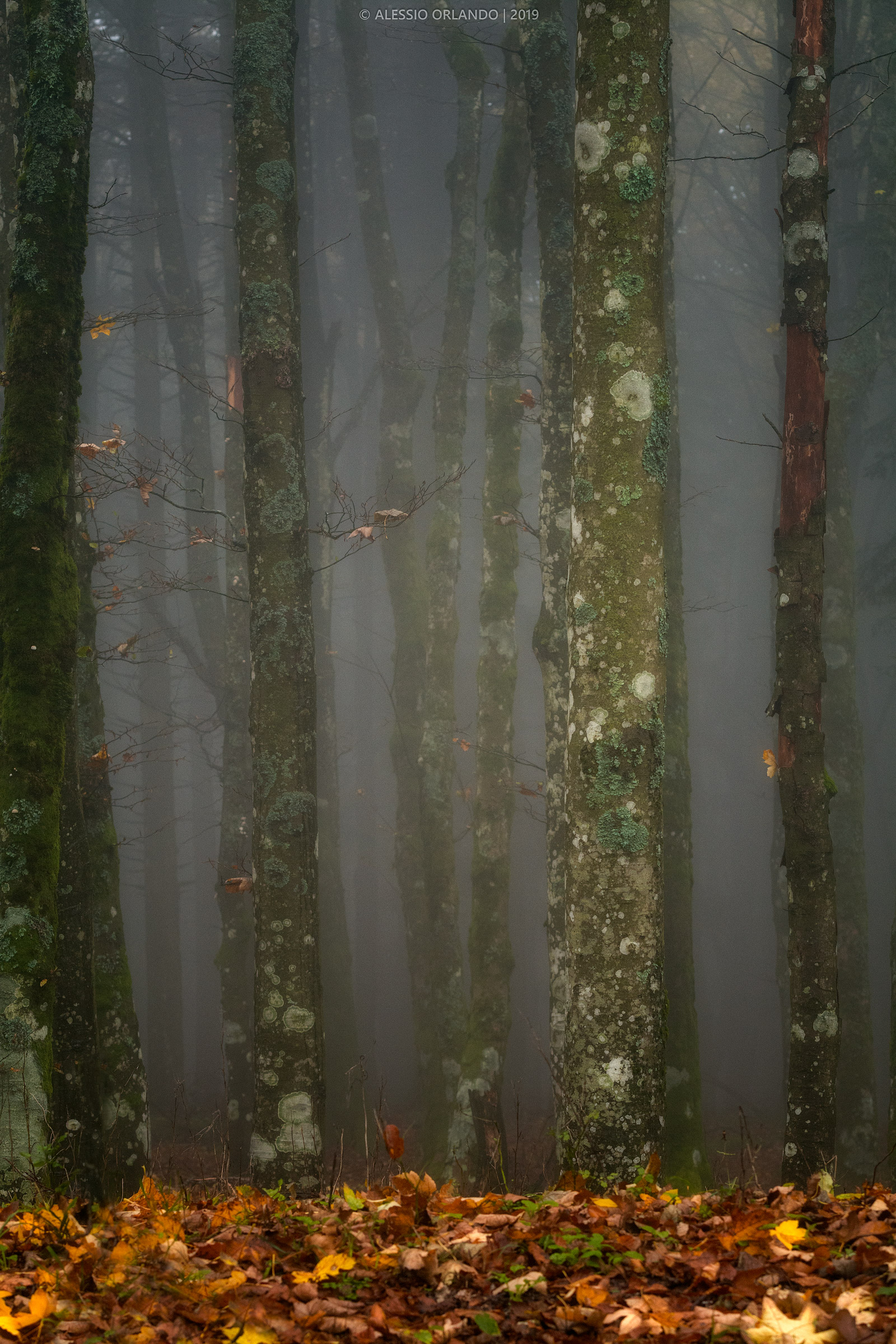 The noise of silence