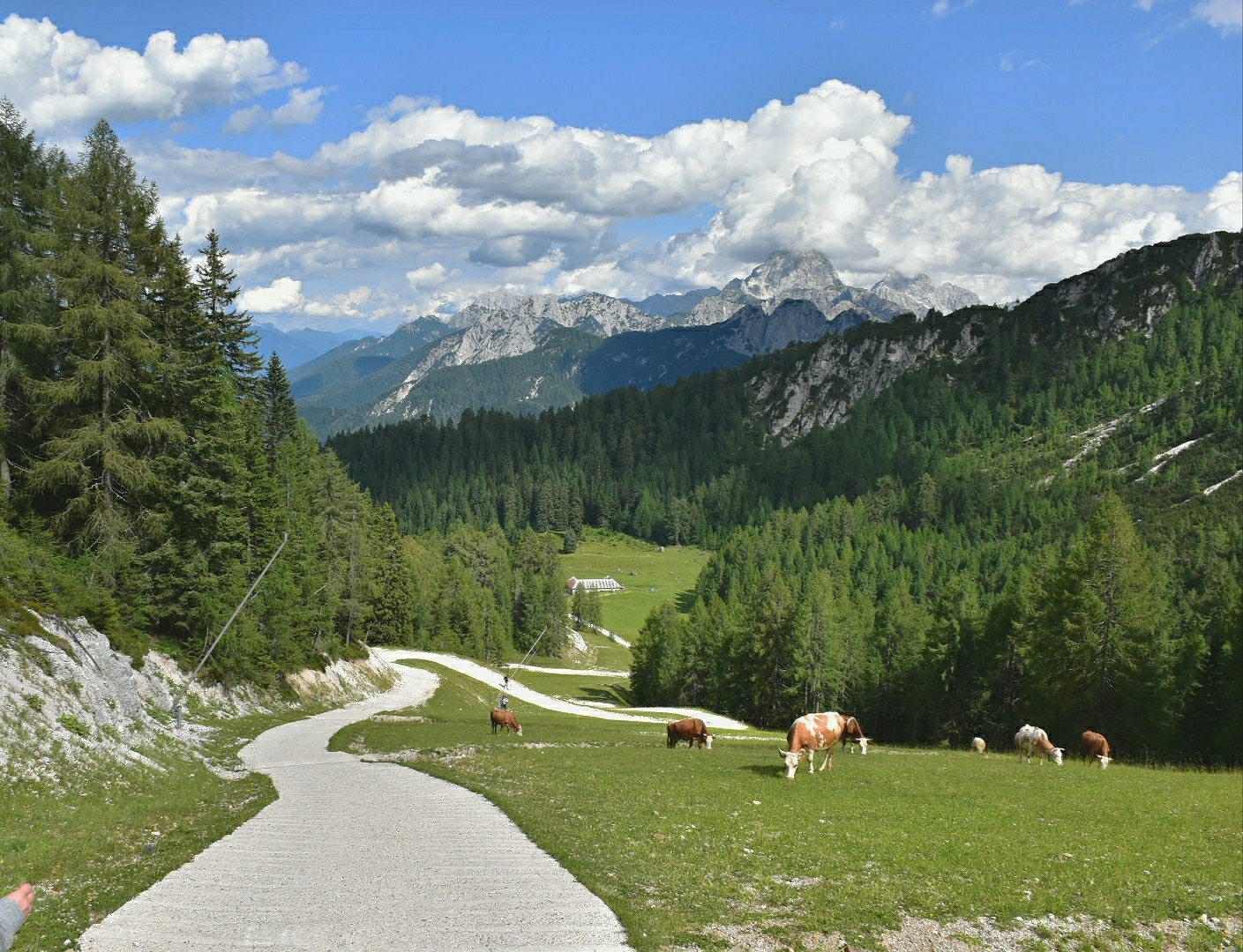 Untitled Photo