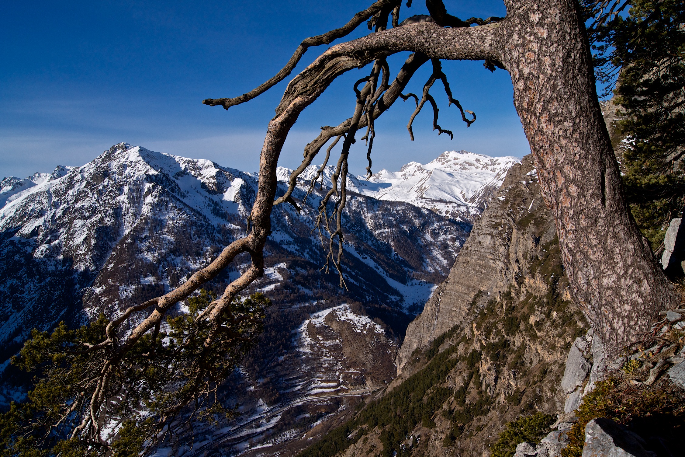 Alta Valle Stura (cn)
