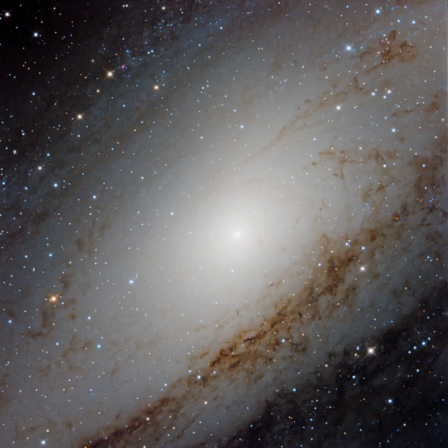 M31 Galassia di Andromeda