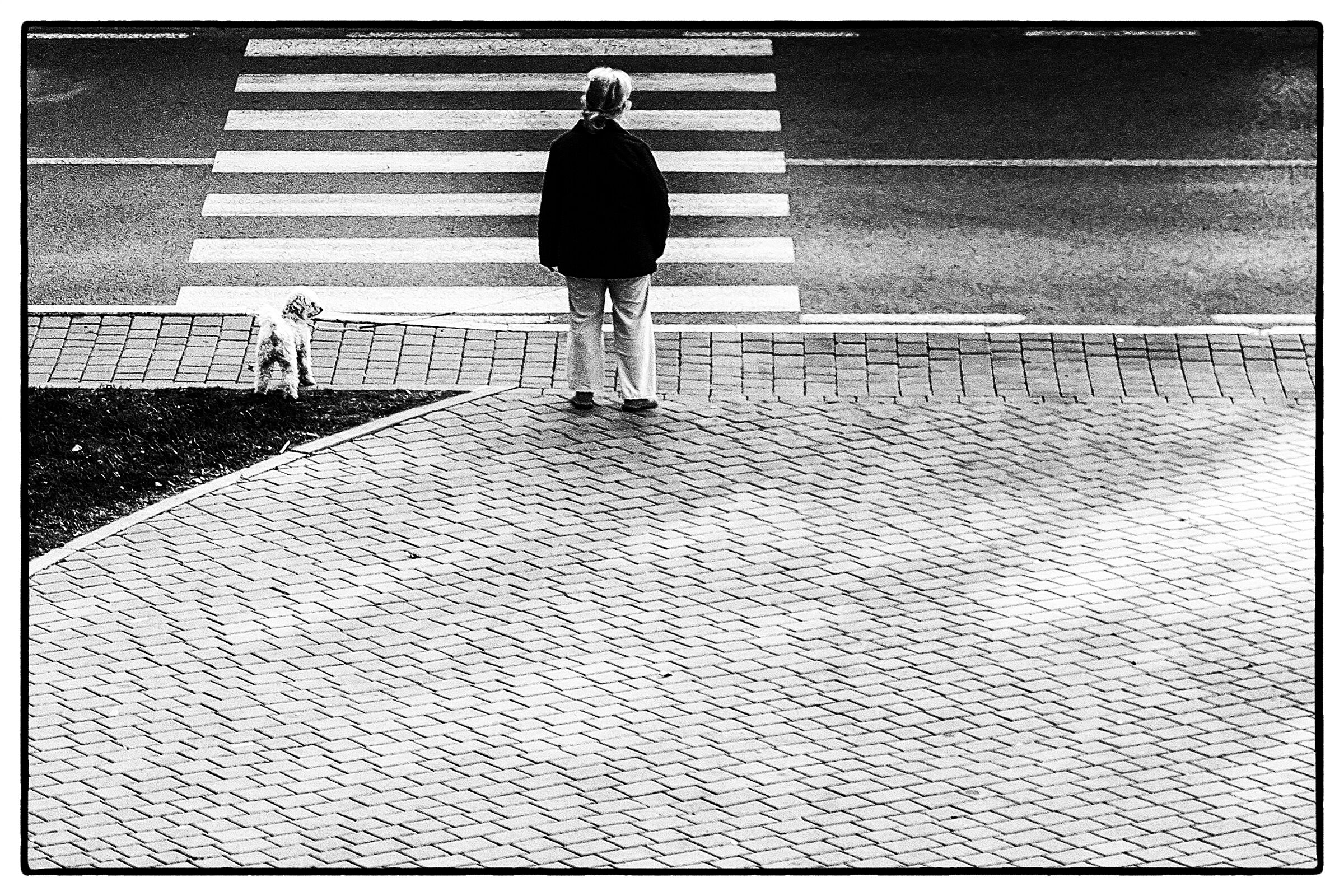 Pedestrian waiting for his move