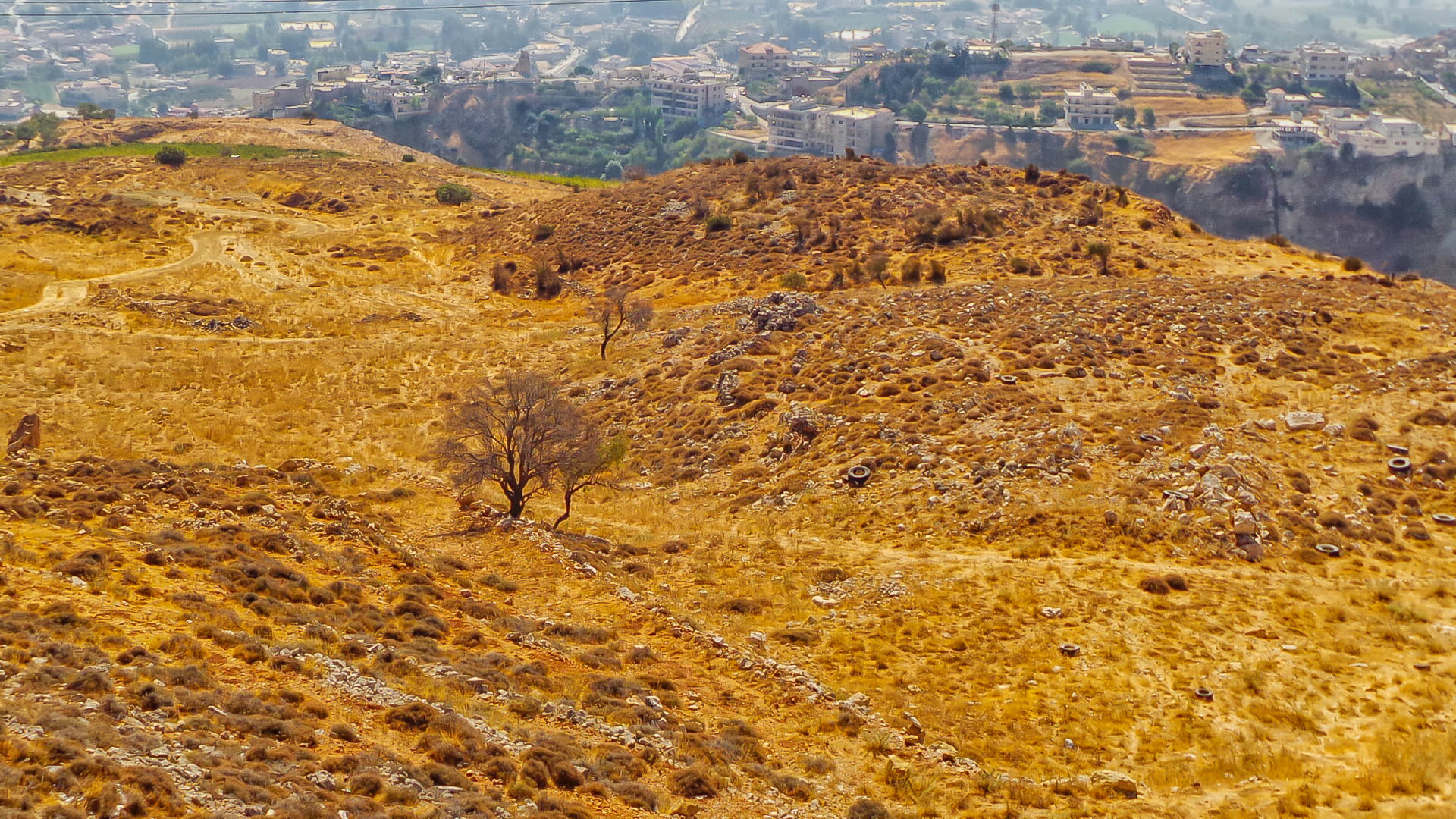 Beqaa Valley