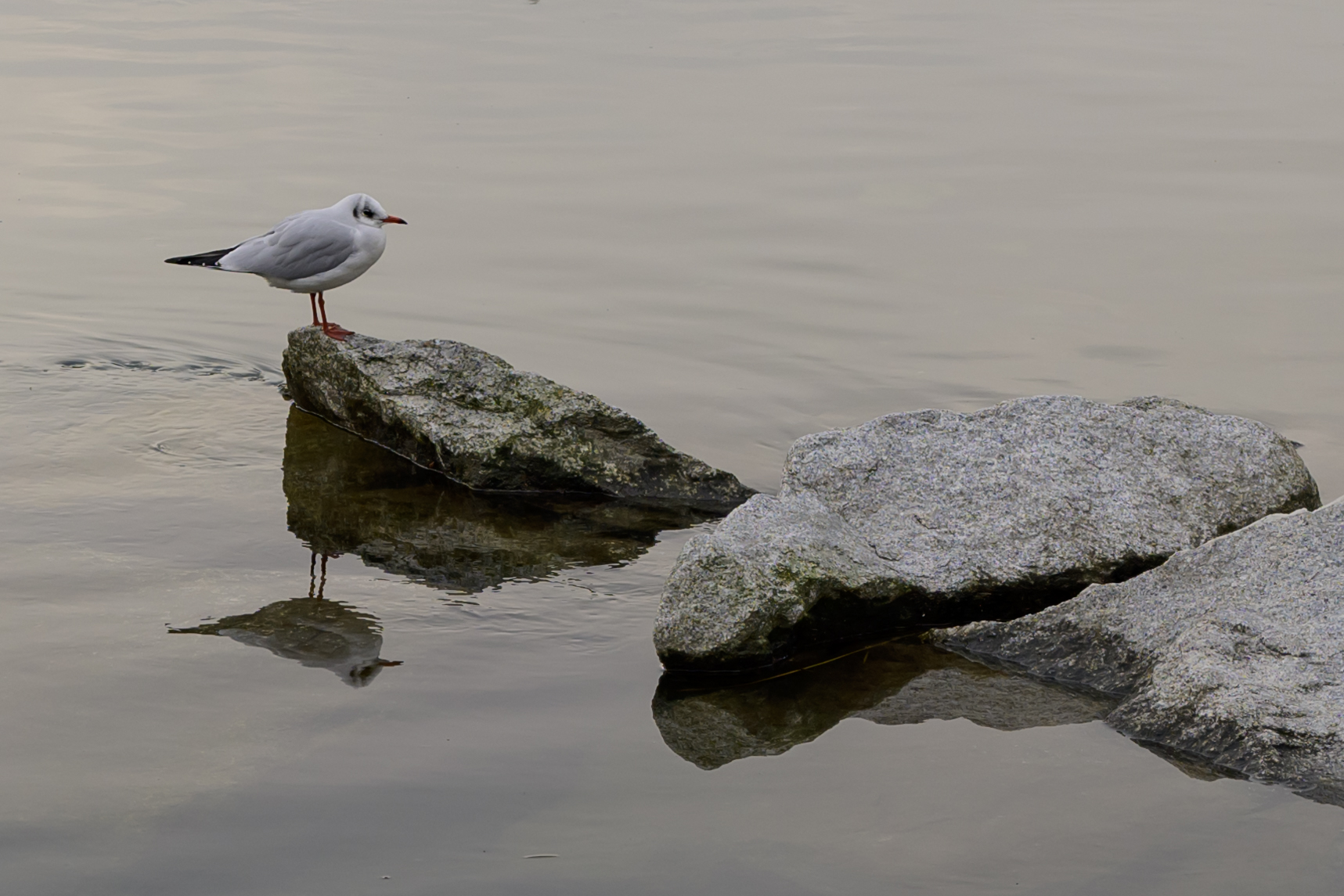Untitled Photo
