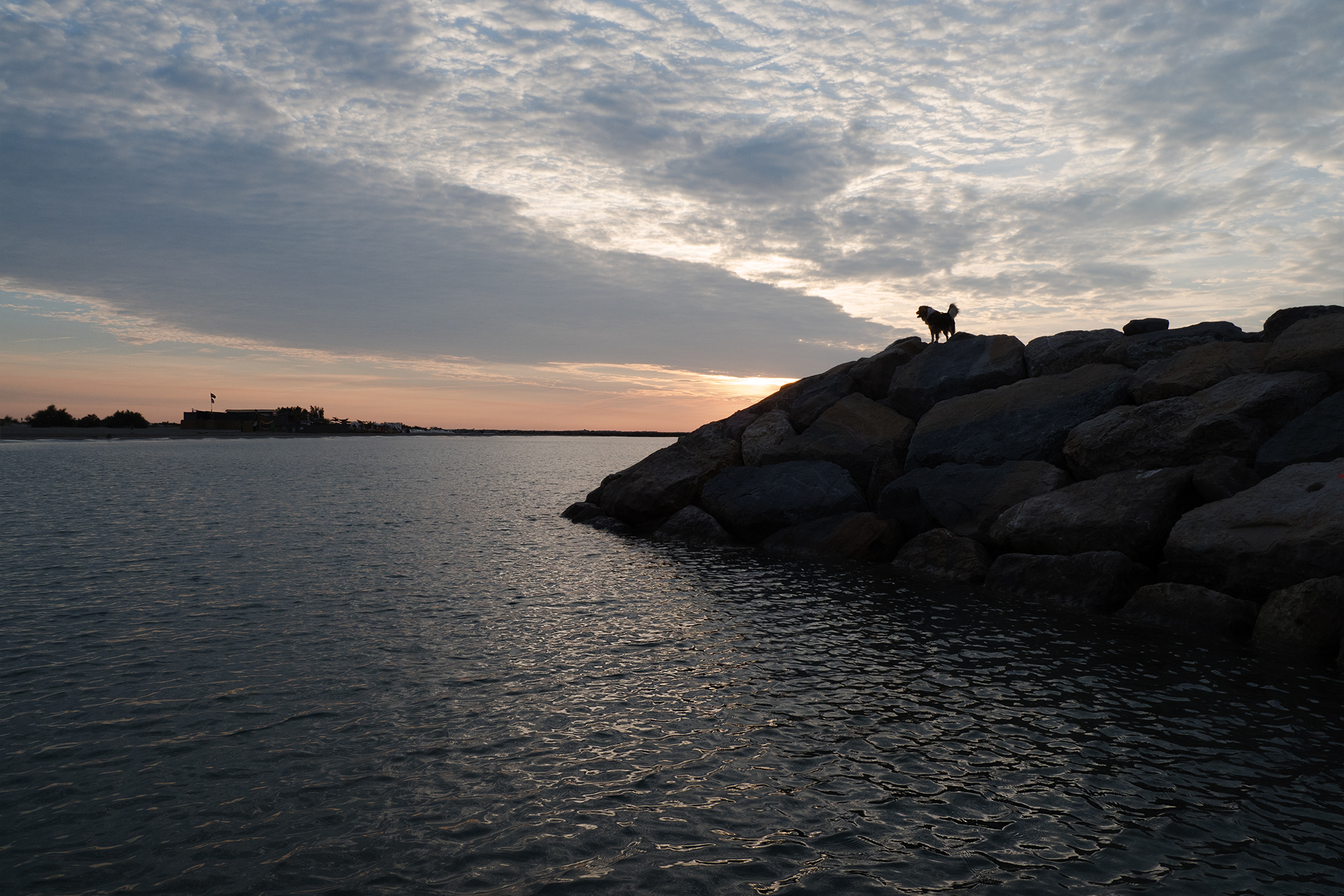 Sympathetically I give my good morning