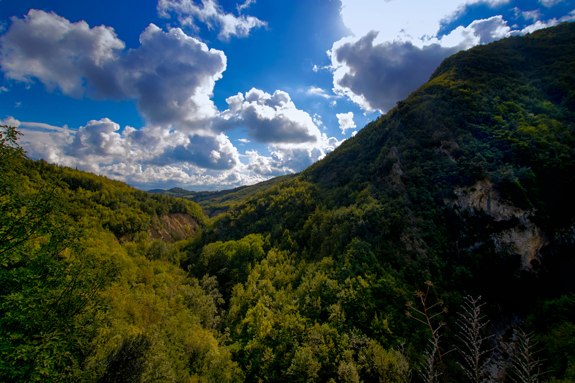 Salinello Gorge regional reserve