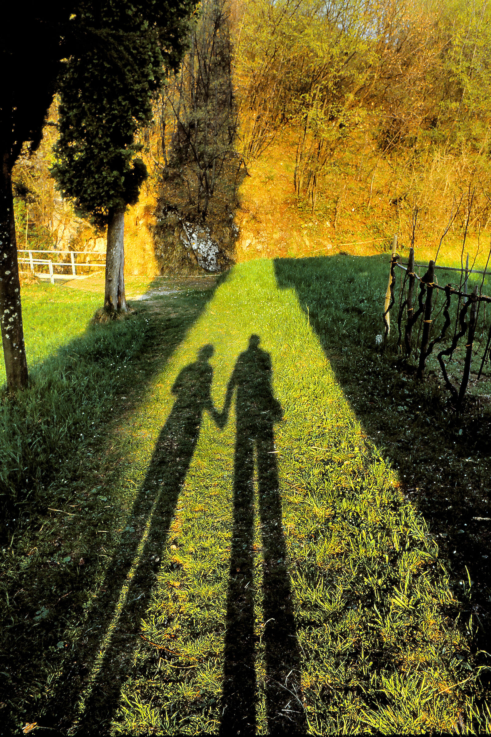 Long shadows