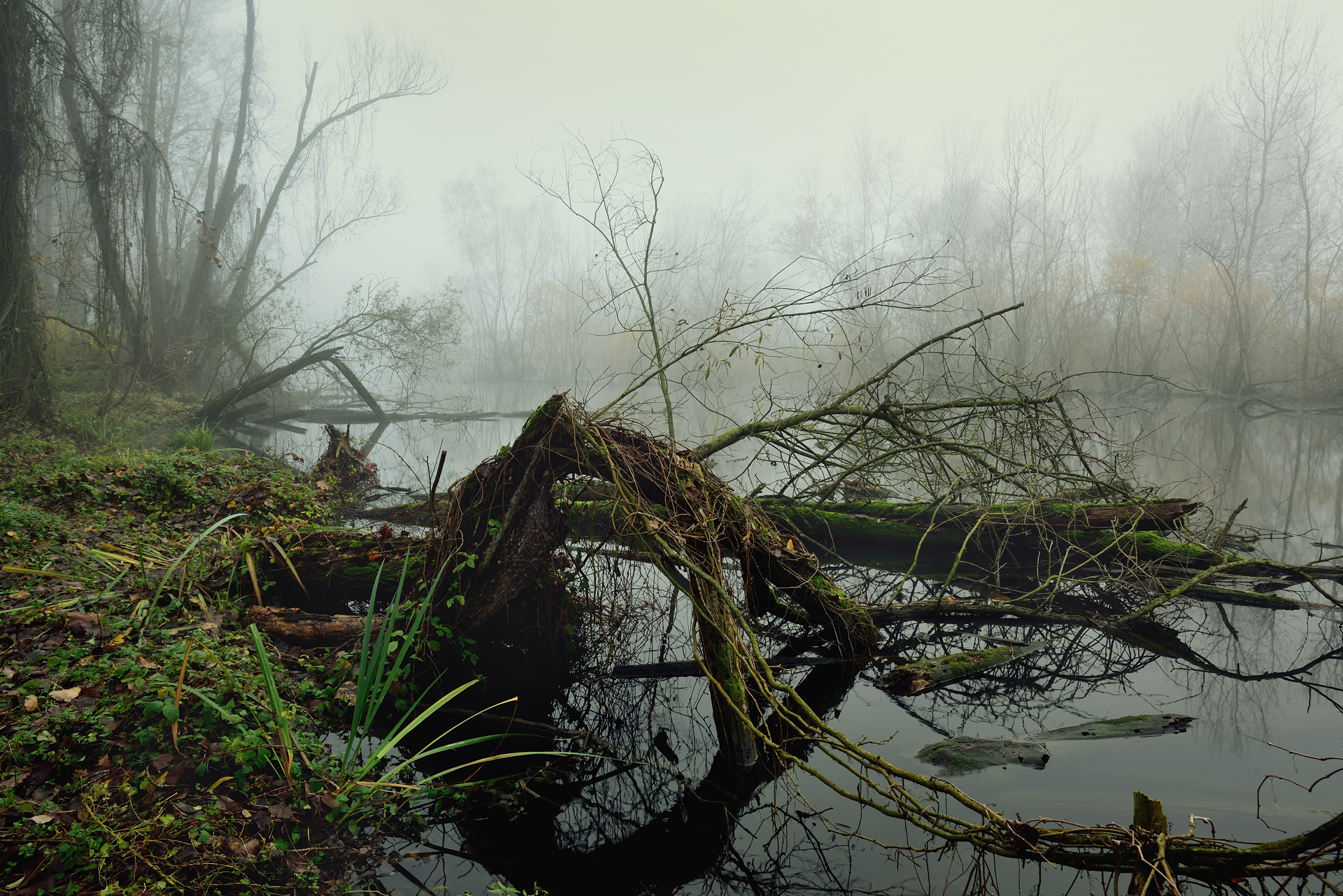 The Dead Adda in Cavenago d'Adda