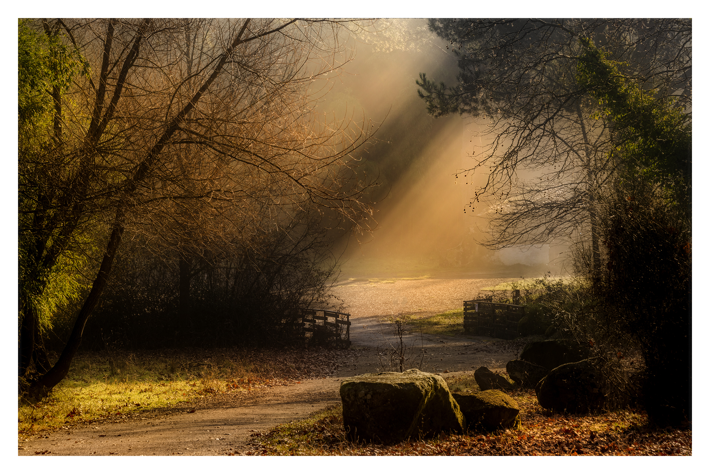 Shadows and lights in the fog